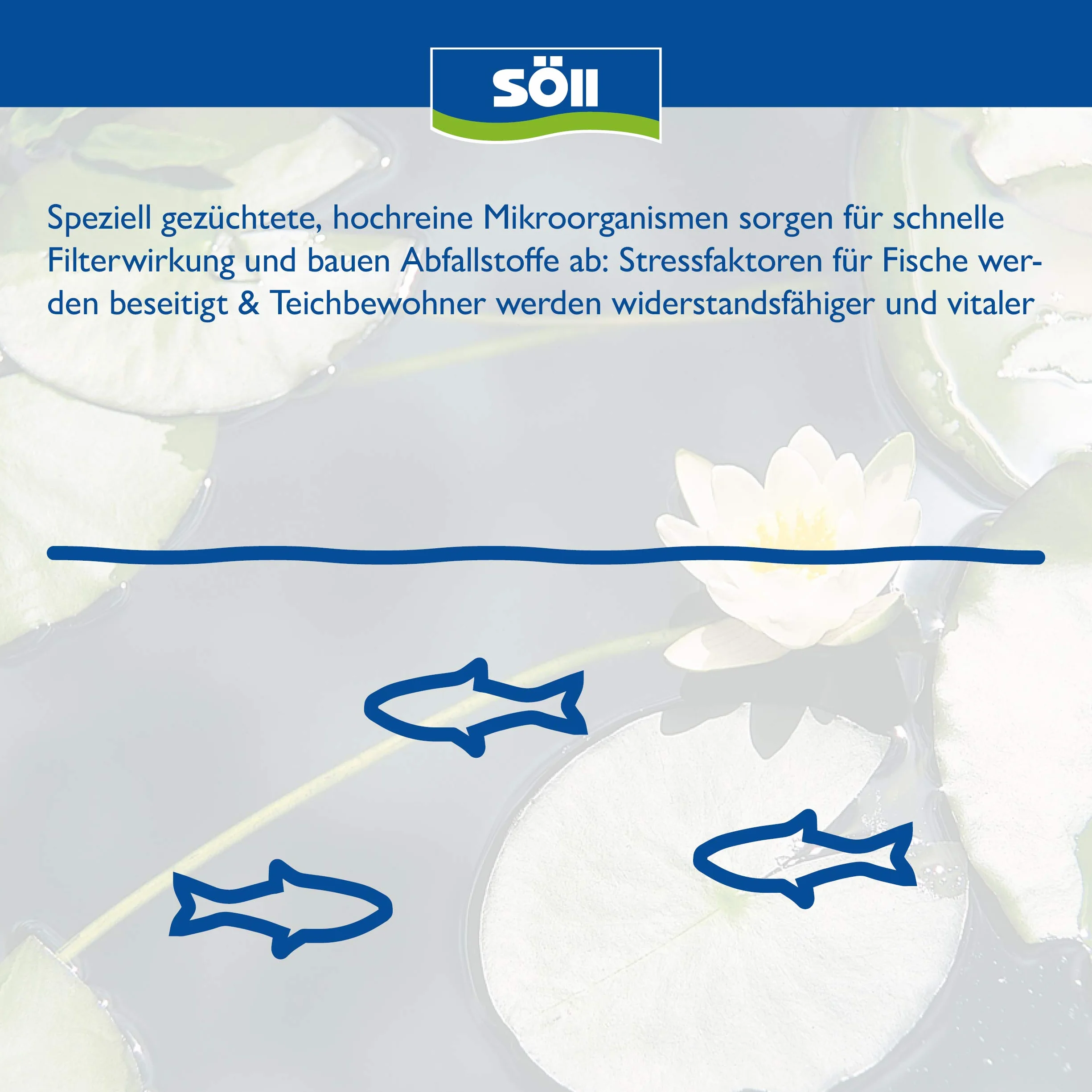 Söll 81439 bakterie do stawów 250 g naturalne bakterie filtrujące