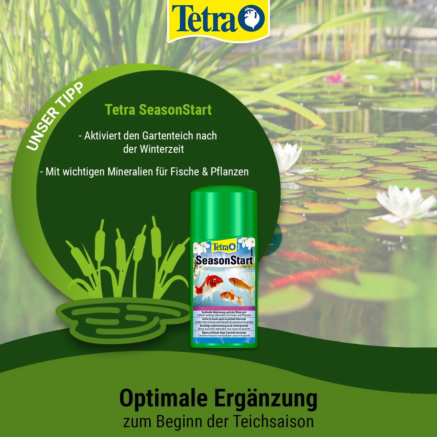 Tetra Pond FilterStart 500 ml