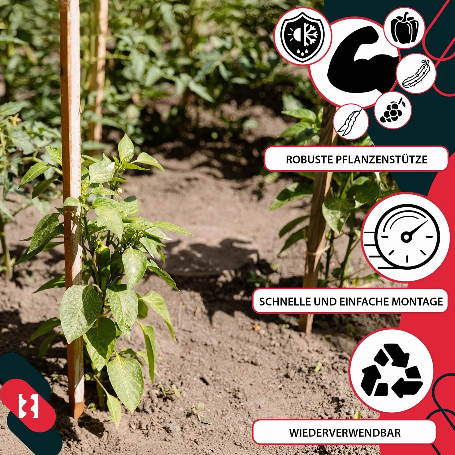 KOTARBAU® Paliki Drewniane 150 cm do Pomidorów Warzyw Podpora