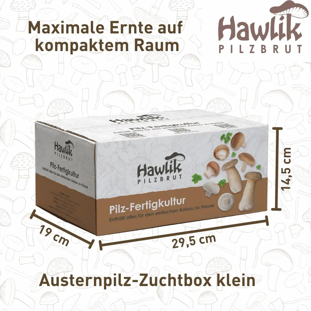 Hawlik Pilzbrut zestaw do hodowli boczniaków 1,5 kg
