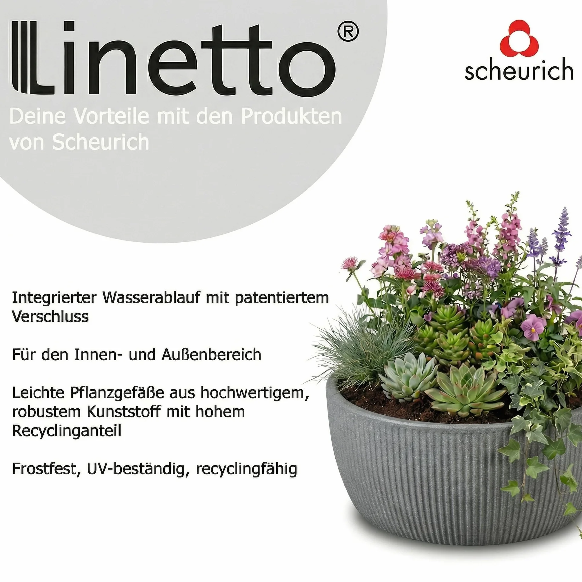 Scheurich Linetto Bowl 30, doniczka na rośliny, okrągła, kolor: Stony Black, wyprodukowana z tworzywa sztucznego pochodzącego z recyklingu, do użytku na zewnątrz