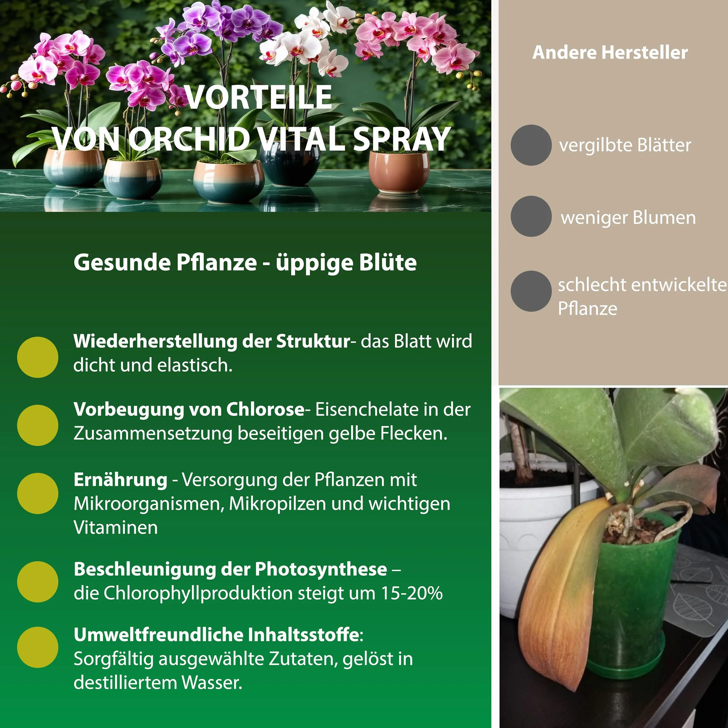 BIO Vitalspray do storczyków 300 ml z 16 śladowymi substancjami odżywczymi