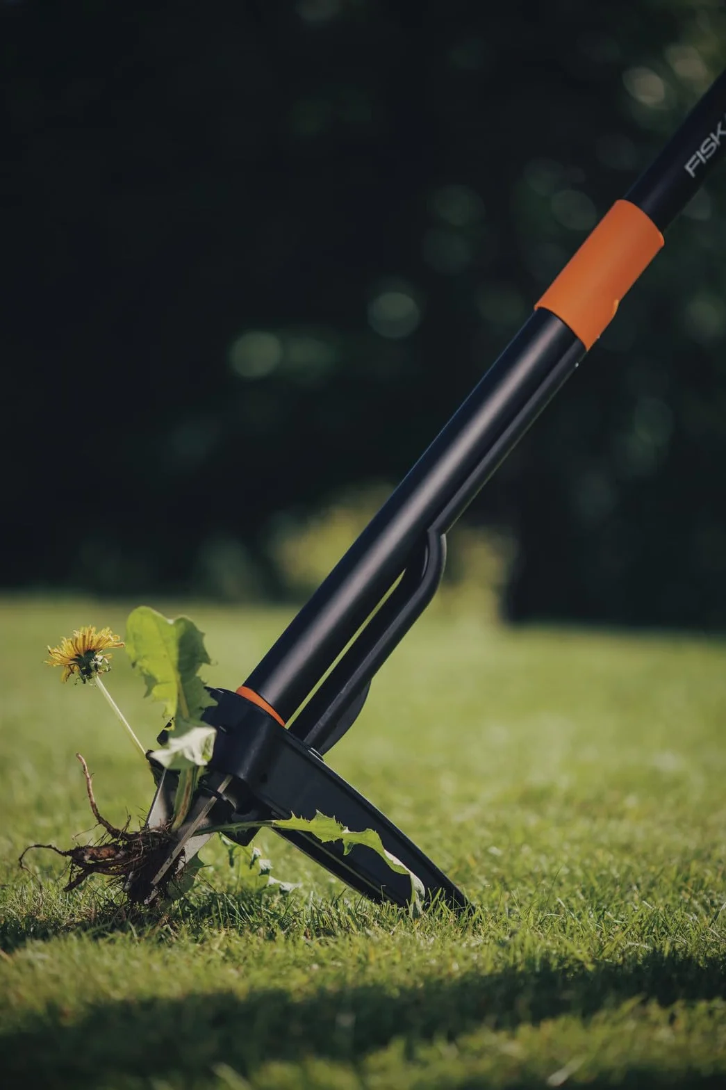 Fiskars Xact Chwastownik