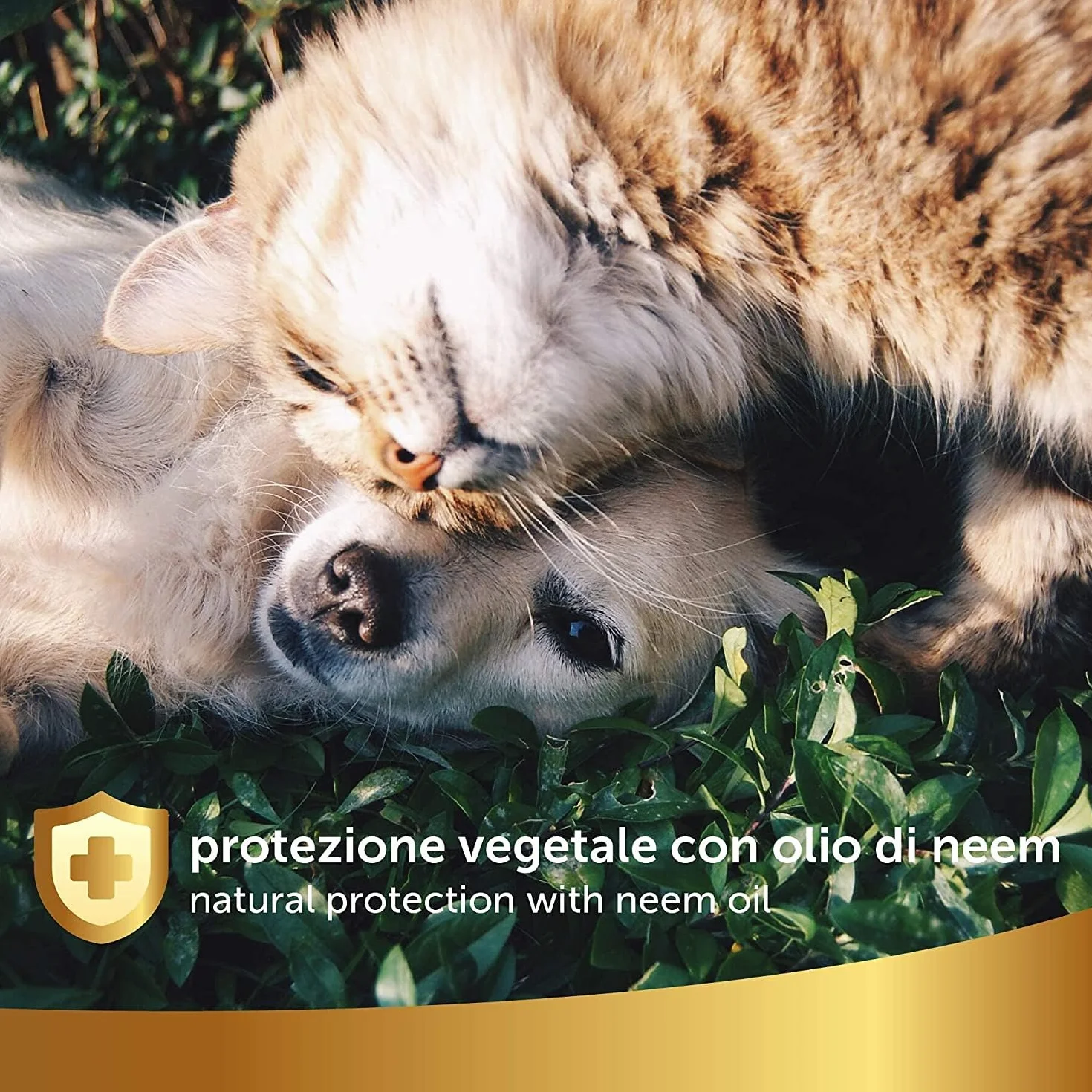 Spot on Naturale Cats 6 fiolek 0,5 ml przeciw pchłom kleszczom komarom ochrona dla kociąt linia 101