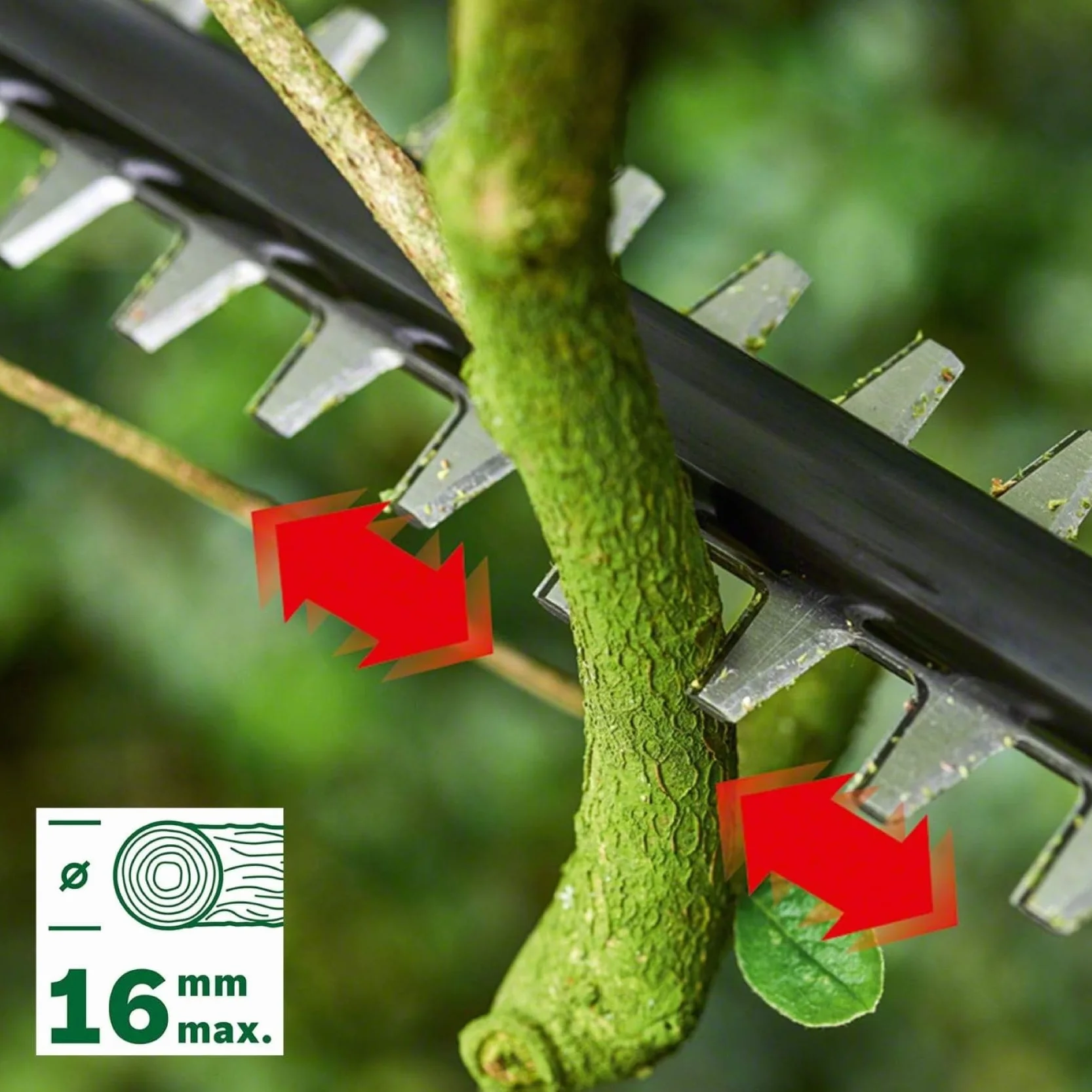 Bosch Universal HedgePole 18 akumulatorowy sekator teleskopowy 43 cm 2.6 m