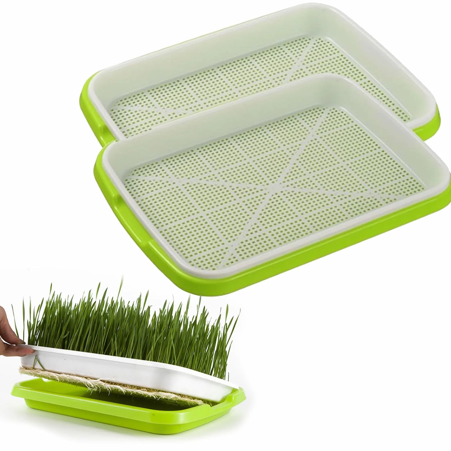 Zestaw misek do uprawy mikrogreens 22 cm, rzeżucha, kiełki