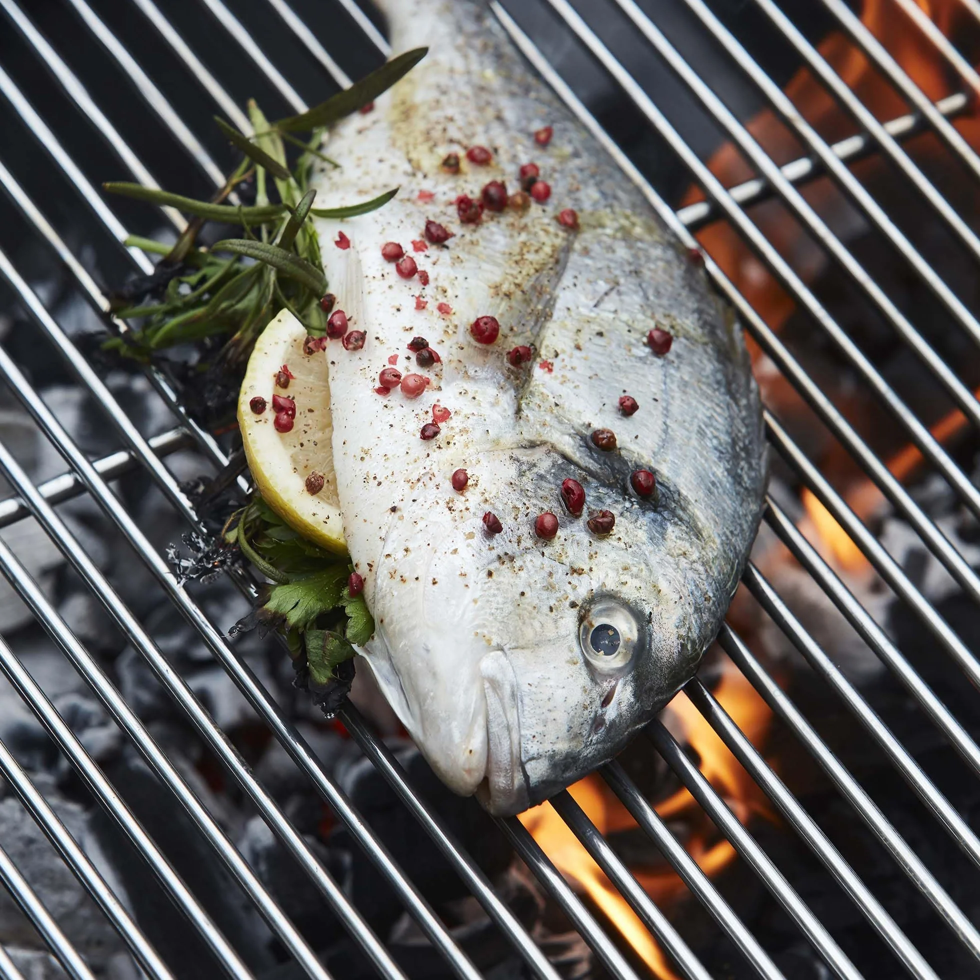 Barbecook Ruszt do grillowania chromowany prostokątny stal szlachetna 58,5x40 cm srebrny