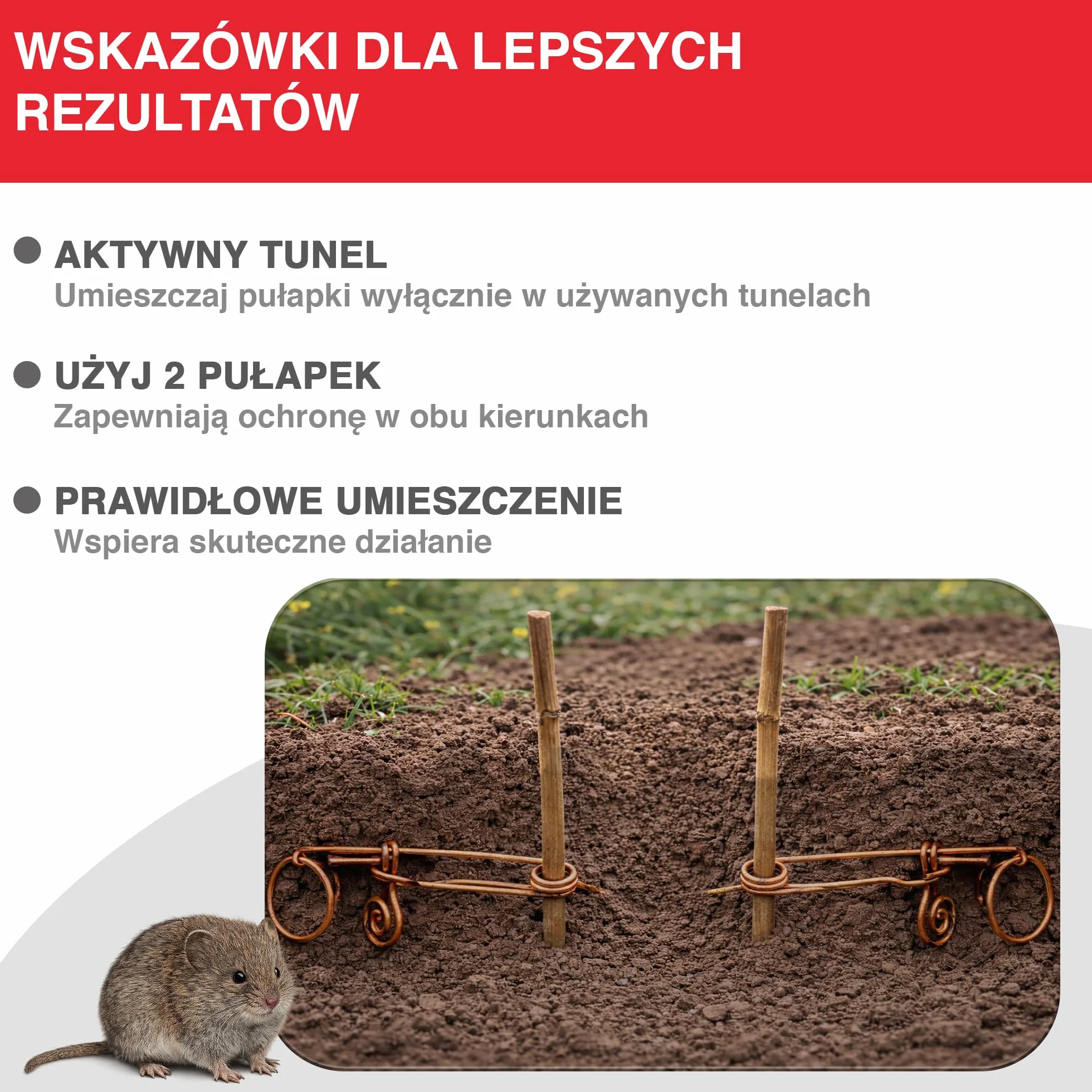 SWISSINNO Druciana Pułapka na Nornice Classic Zestaw 2 szt. Tradycyjna Bawarska Pułapka Druciana