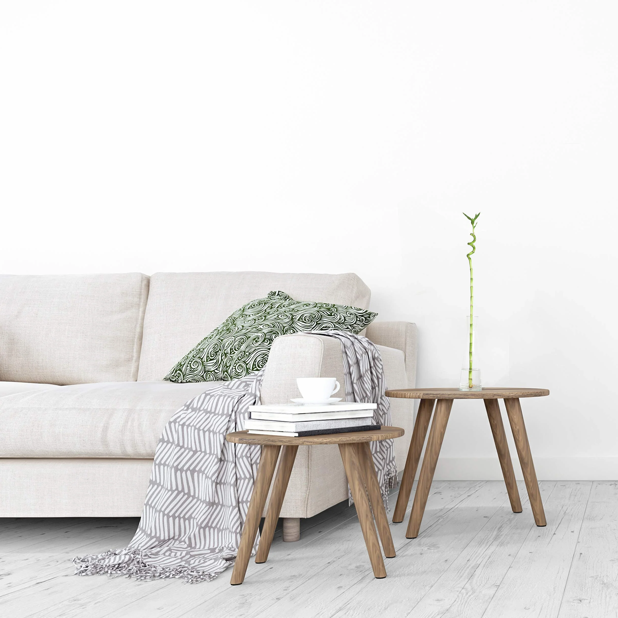 Bambus szczęścia Lucky Bamboo 50 cm spirala Dracaena sanderiana roślina pokojowa
