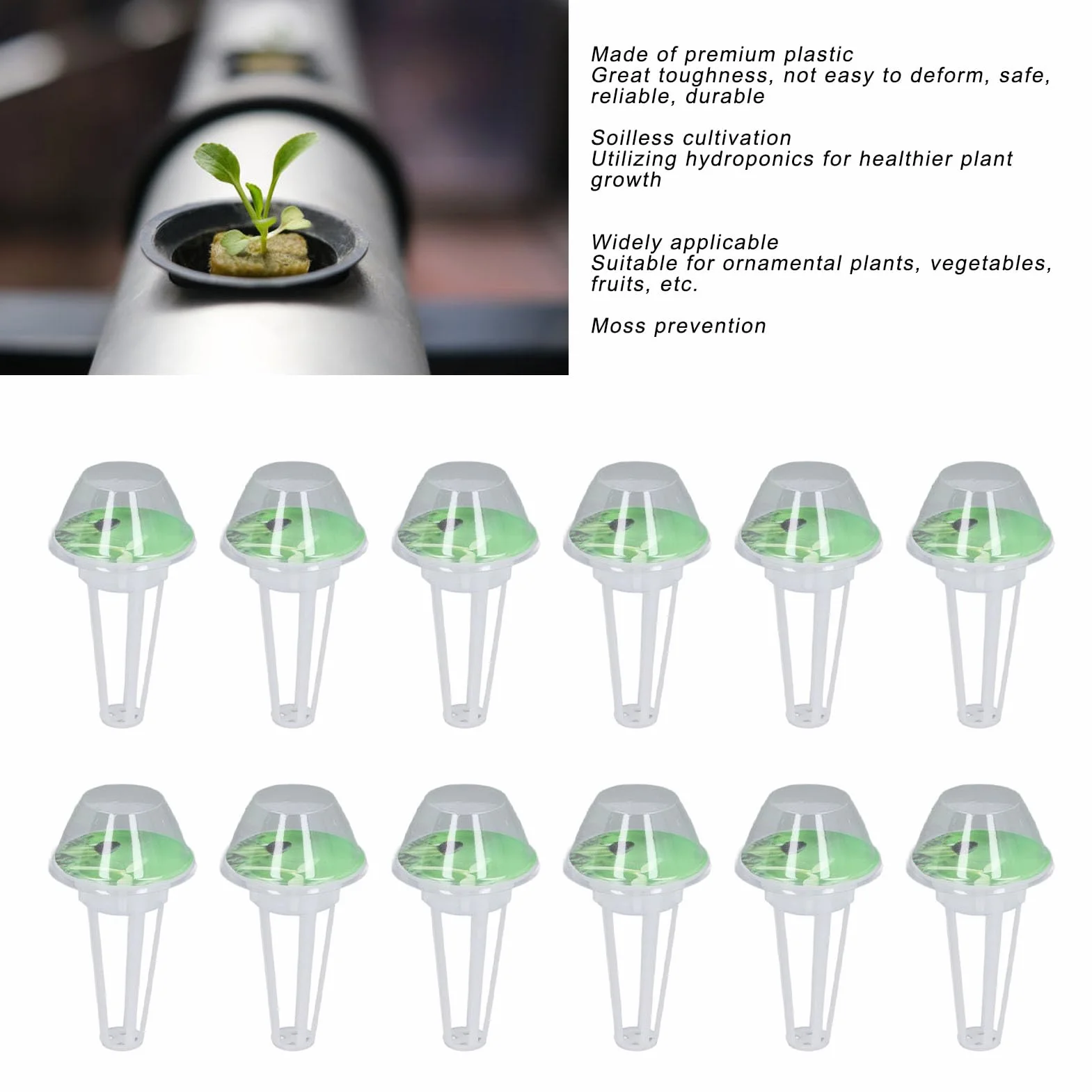 Zestaw Kapsułek z Nasionami do Systemu Uprawy Hydroponicznej