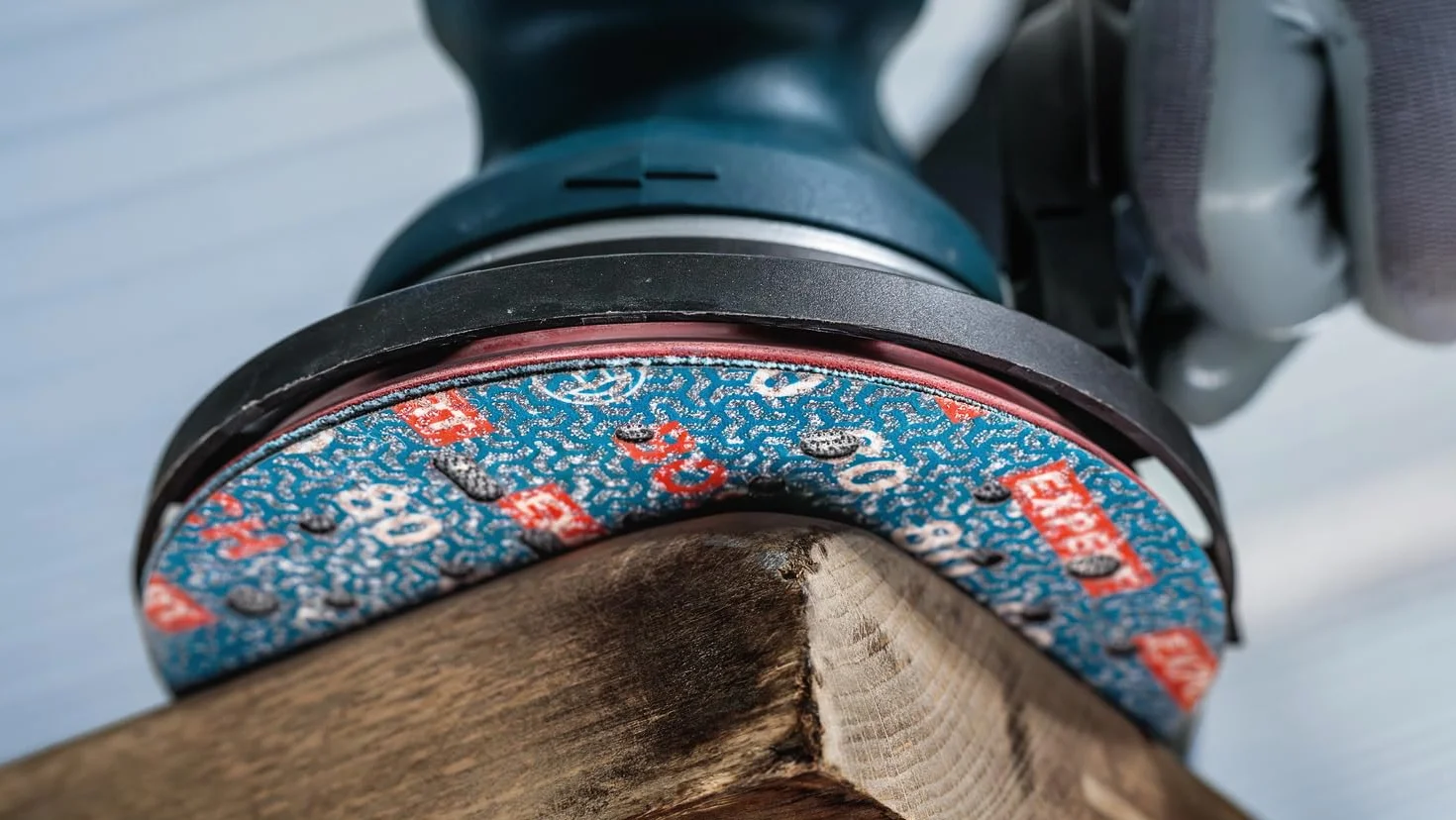 Bosch 50x EXPERT O780 tarcza szlifierska do folii, 150 mm (do twardego drewna, farba na drewnie, Ø 150 mm, ziarnistość 80, profesjonalne akcesoria szlifierka mimośrodowa)