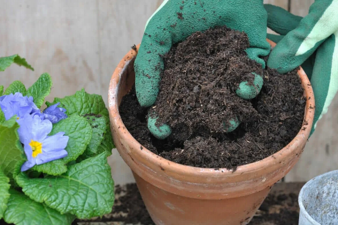 BIOVITA Podłoga uniwersalna 10 l ziemia do roślin naturalne pochodzenia