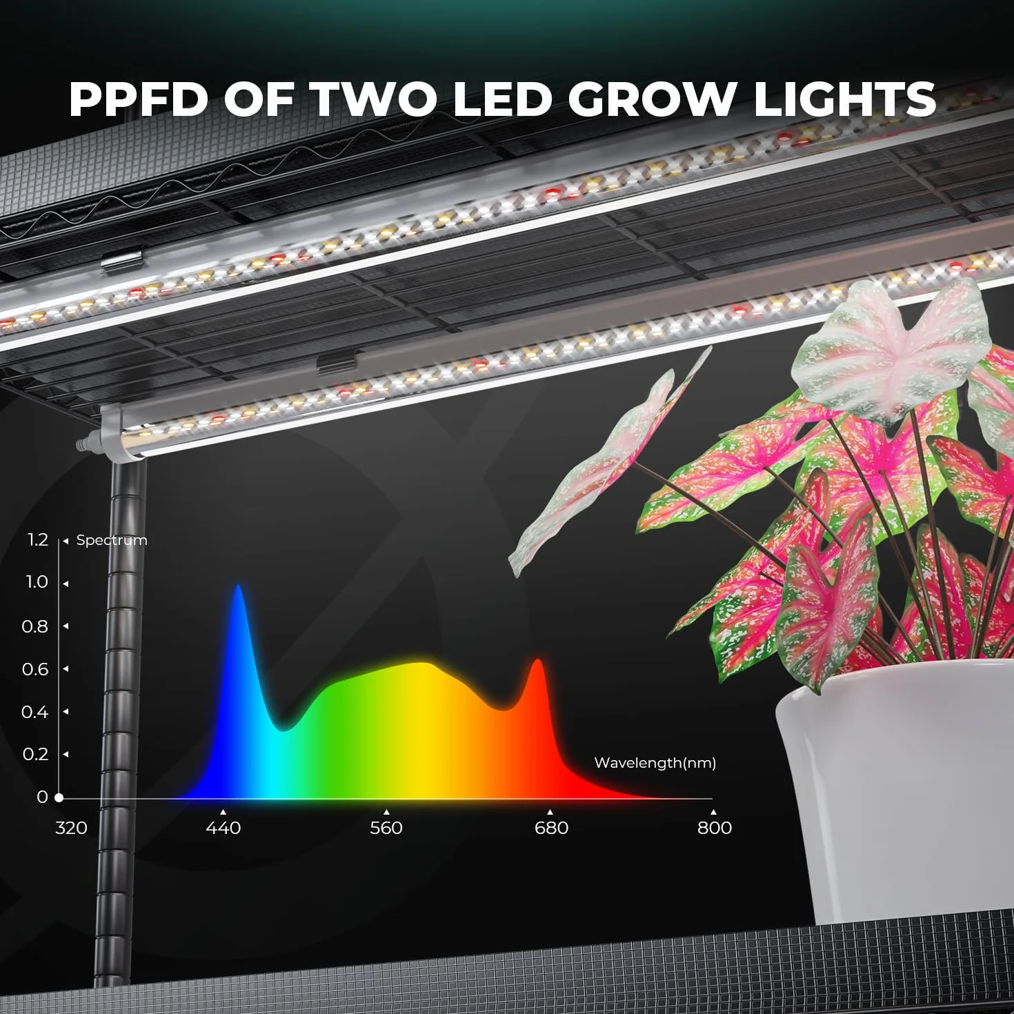 MARS HYDRO Stojak na Rośliny z Lampkami LED 6-Poziomowy 225W 3ft Namiot do Uprawy 5000K
