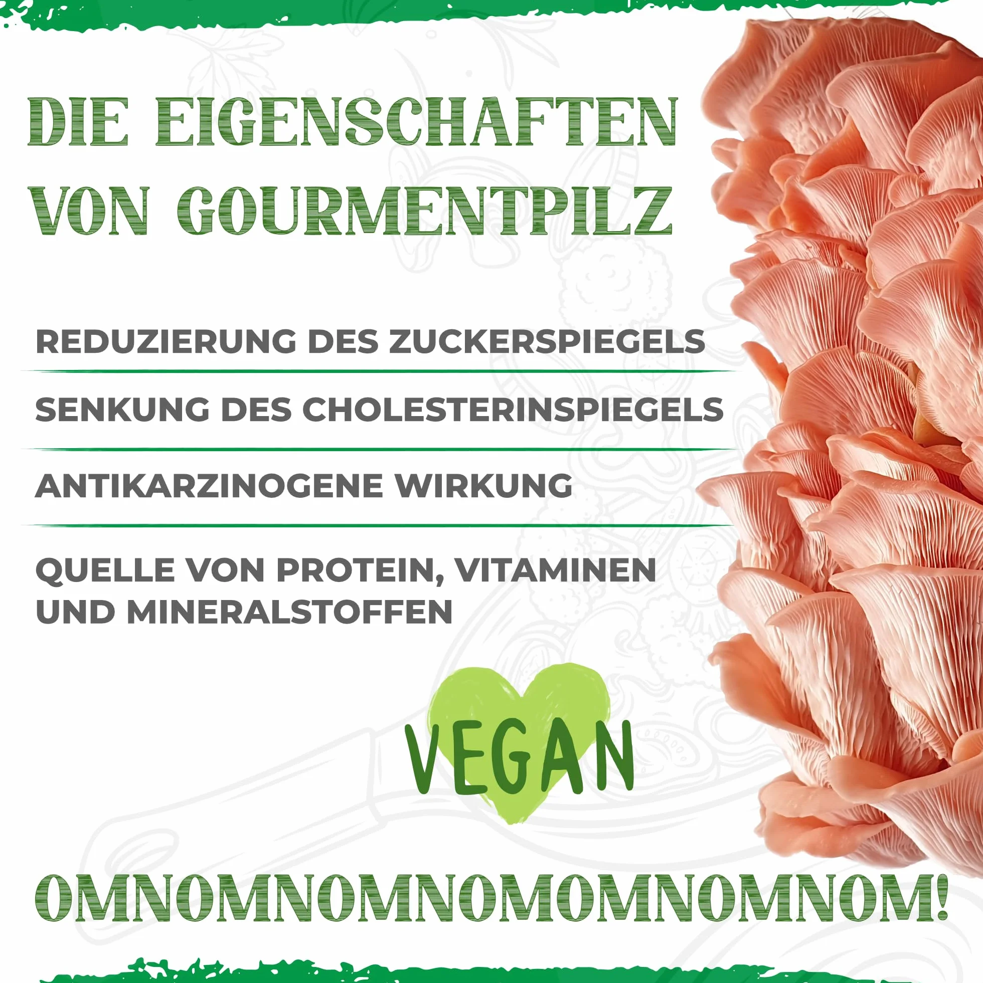 Zestaw do uprawy grzybów organicznych 100% biologiczny uprawa przez cały rok