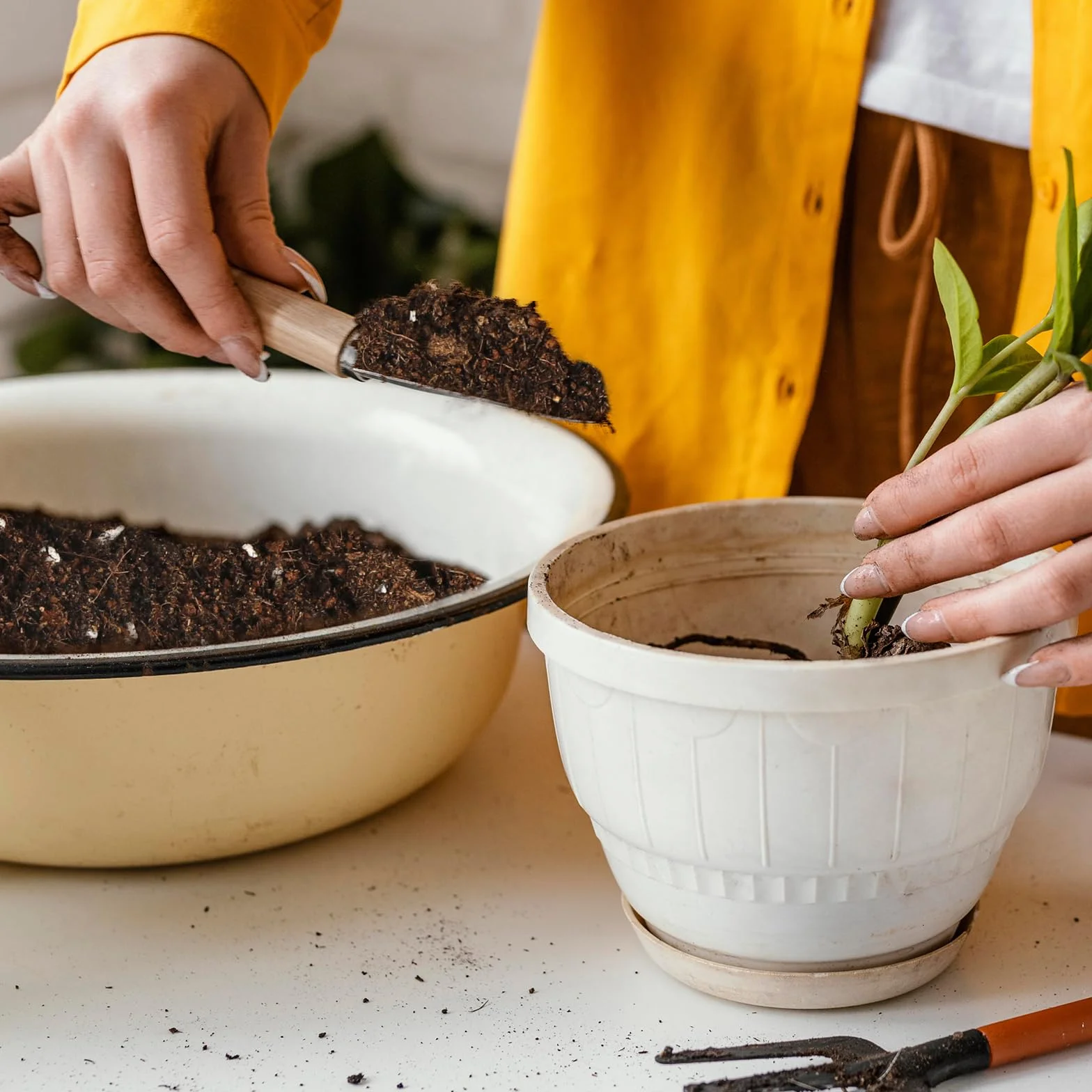 Organiczna mieszanka gleby doniczkowej do roślin domowych, dobrze odprowadzająca