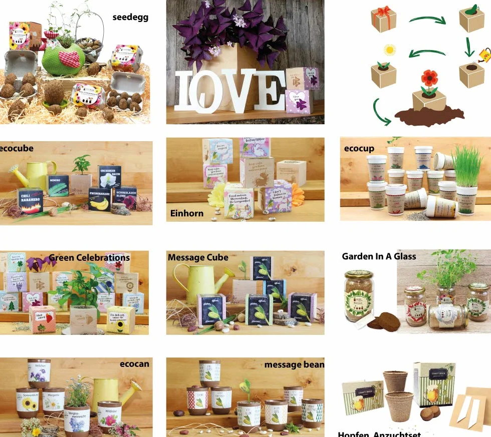 Feel Green Ecocube Zestaw do Uprawy, Wielokolorowy, 1 Zestaw
