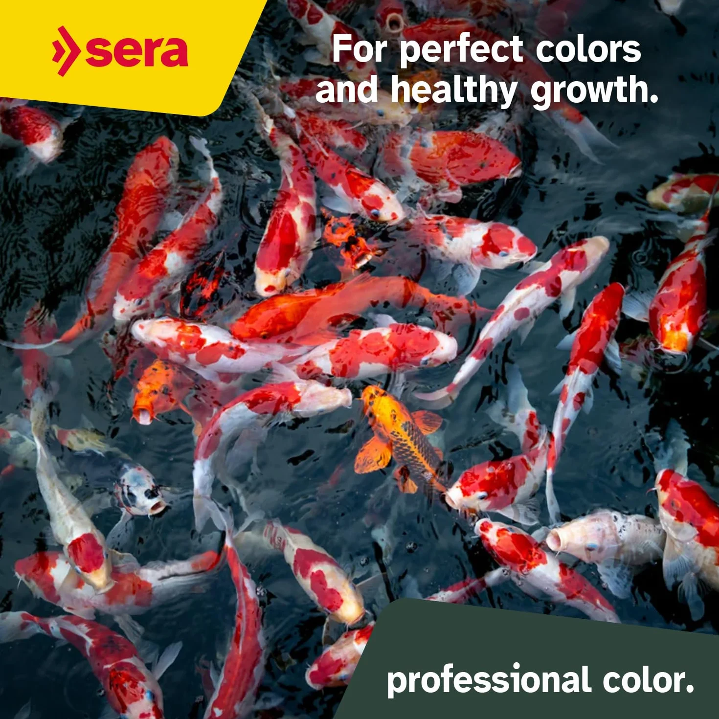 Sera Koi Professional Spirulina Farbfutter 7kg