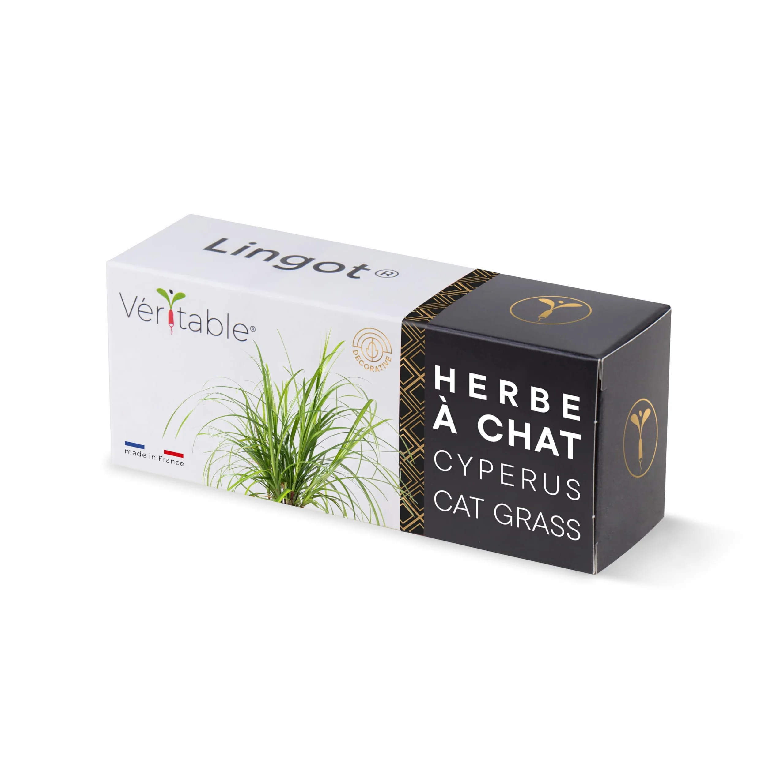 Lingot® Cyperus Cat trawa wypełniacz z nasionami do pomieszczeń