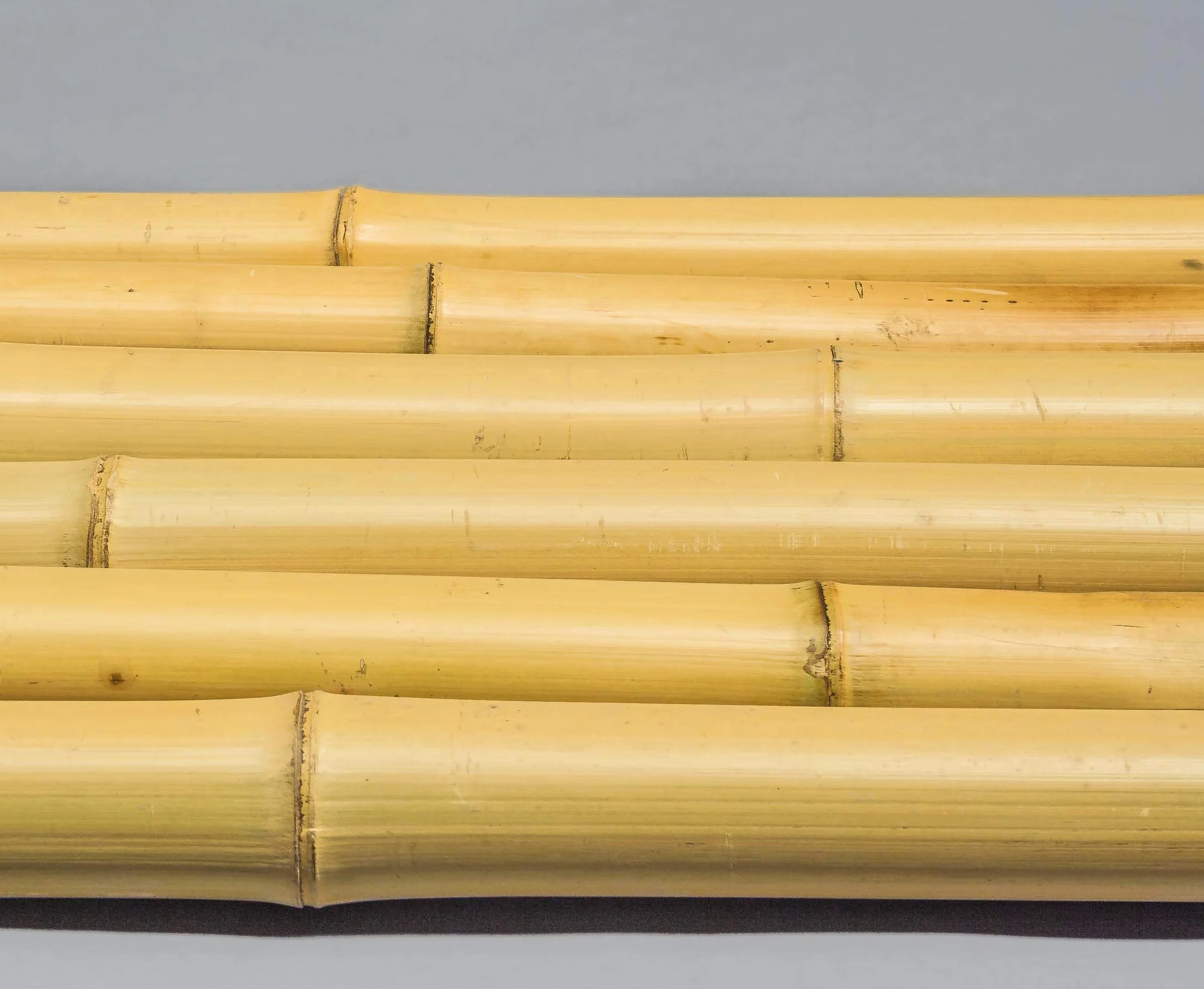 Rura bambusowa Moso 200 cm żółtawa bielona średnica 6,8-8 cm drążek bambusowy 2 m