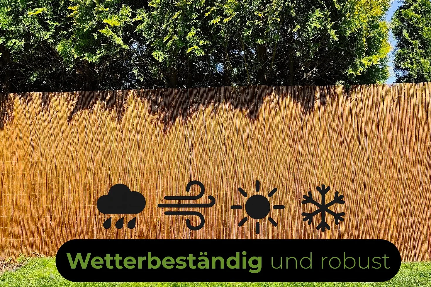Mata Wiklinowa 180x300 cm Parawan Balkon Ogród Naturalny Płot Osłona Ocynkowany Drut Ochrona przed Wiatrem