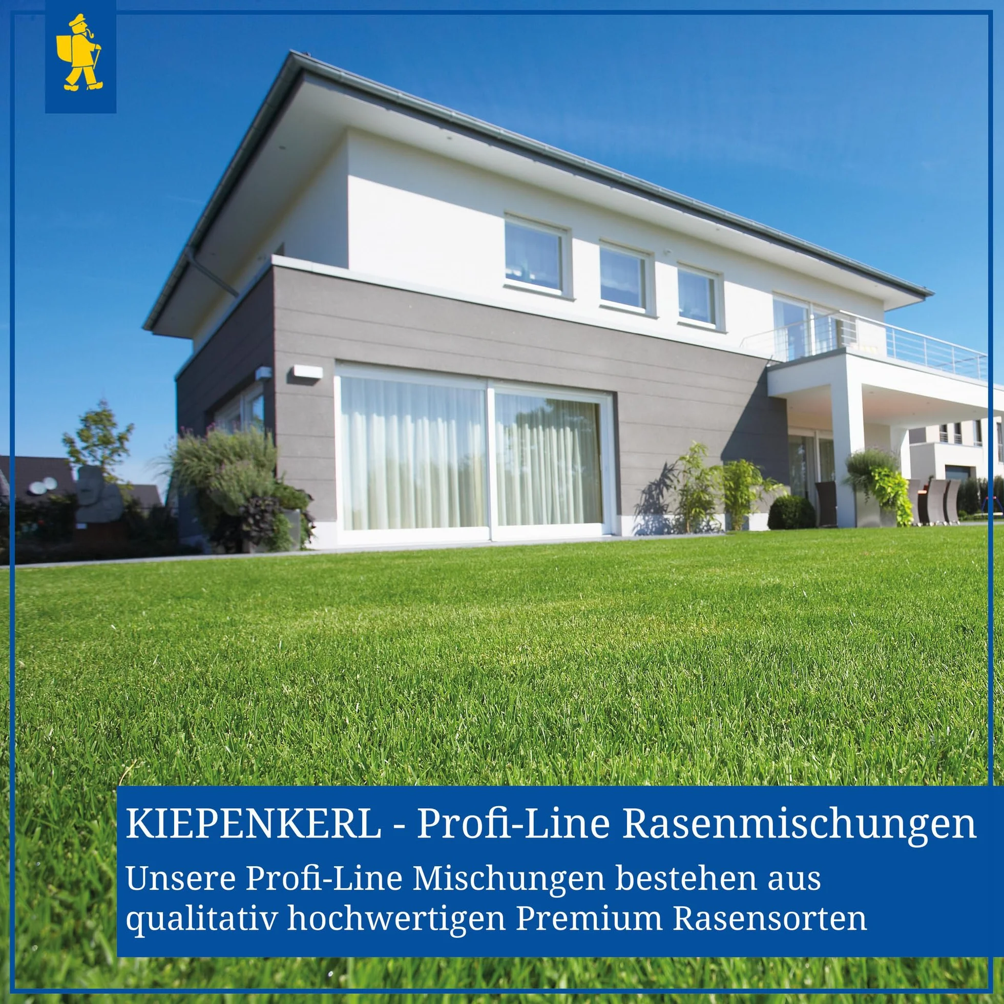 Kiepenkerl Nasiona trawnika Profi-Line Complete 250 g
