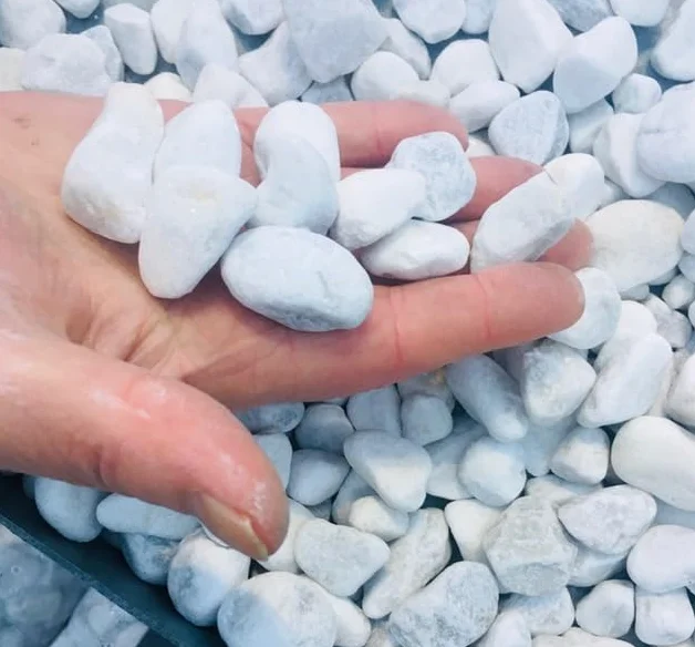 HCommerce śnieżnobiałe kamienie dekoracyjne I żwir marmurowy I żwir Carrara I ziarnistość 20-40 mm (1 kilogram)