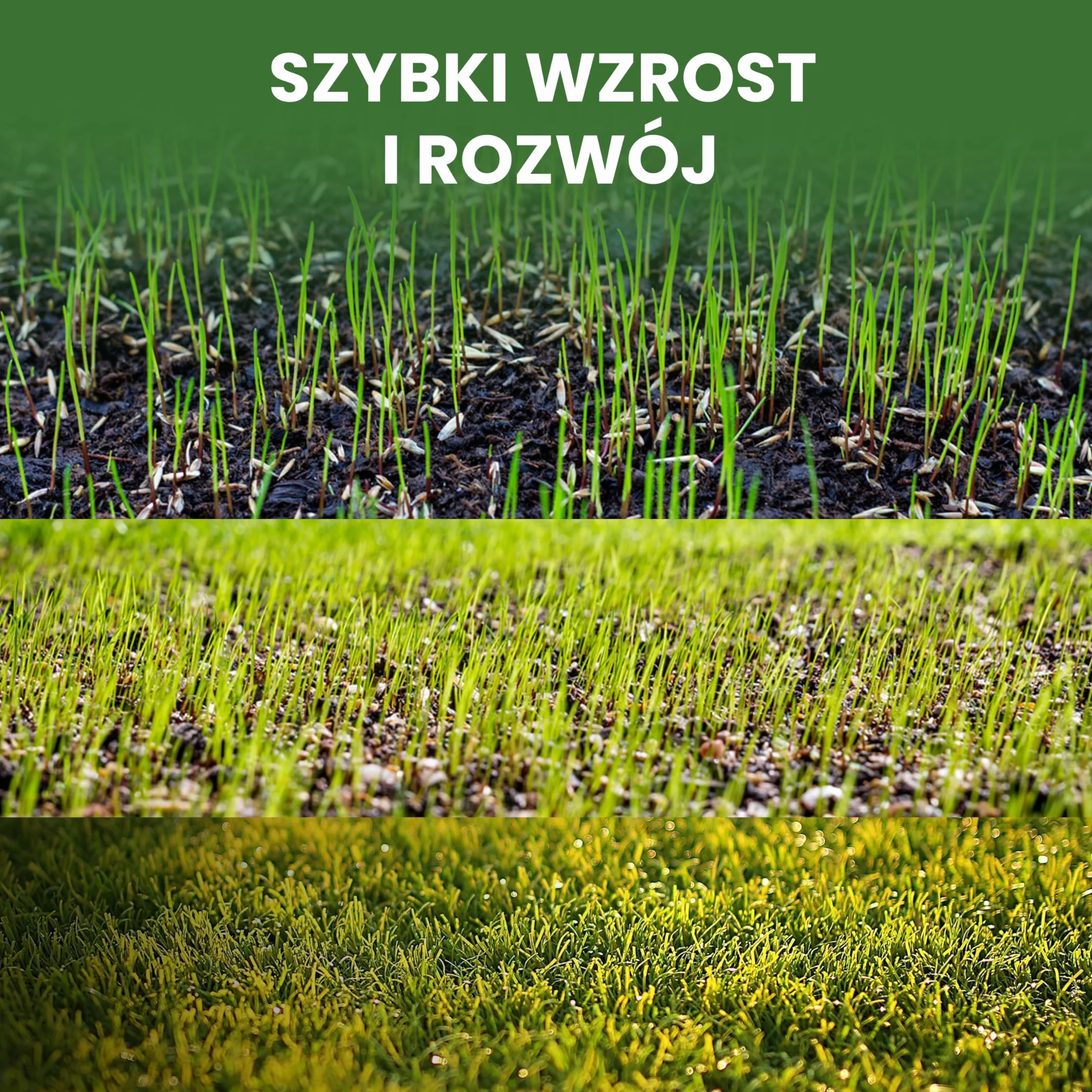 LERAVA® EXPRESS nasiona trawy 70m² szybki wzrost odporność na deptanie trawa regeneracyjna do ogrodów słonecznych i półcienistych odporna na suszę 1,8 kg