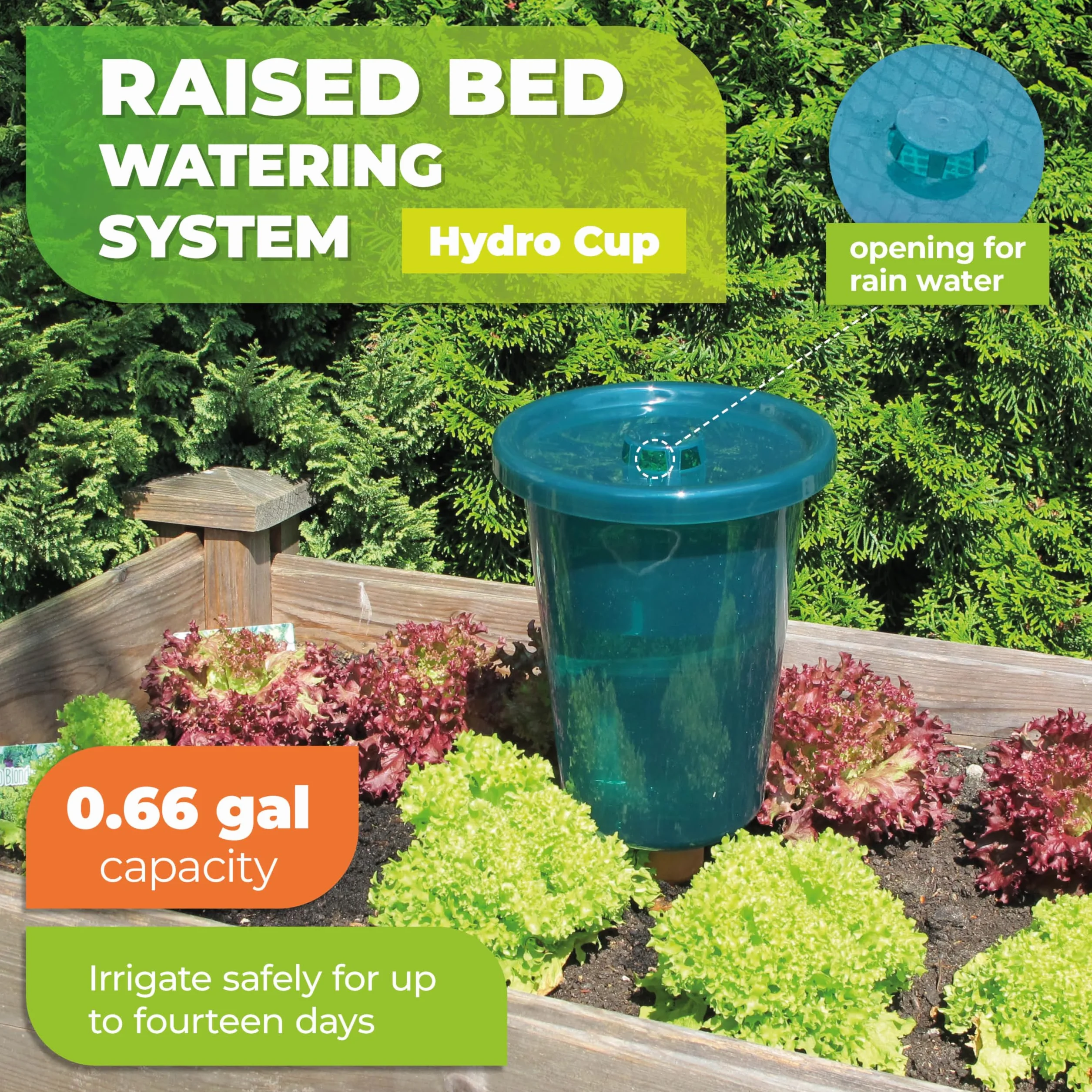 Bio Green Zestaw 4 systemów nawadniania Hydro Cup do podwyższonych grządek, stałe zaopatrzenie w wodę