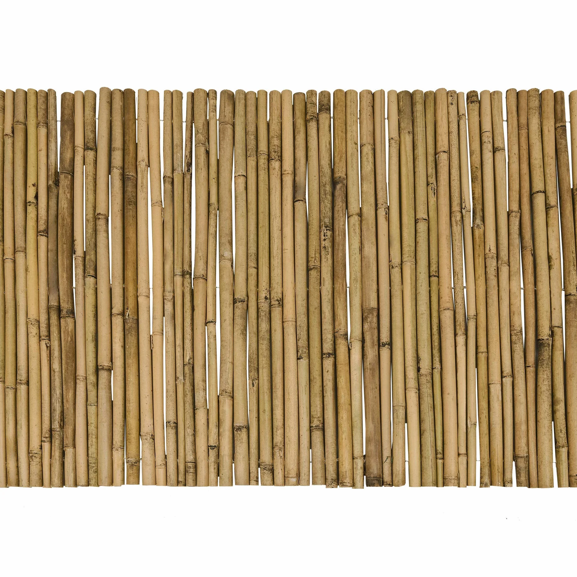 Sol Royal Ogrodowy parawan z bambusa SolVision B38 100x250cm Naturalna ścianka Mata ogrodowa Ochrona przed wiatrem i słońcem