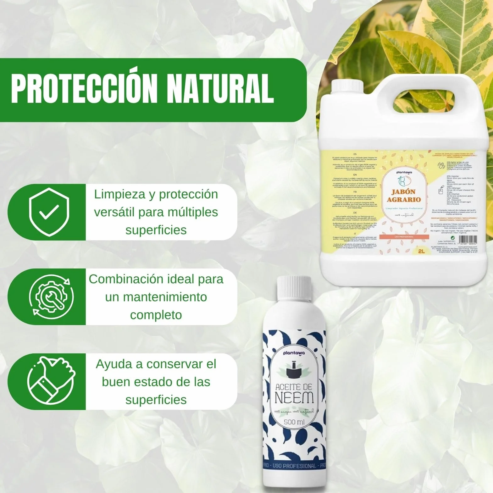PLANTAWA 2 l zestaw mydła potasowego + olej Neem 500 ml