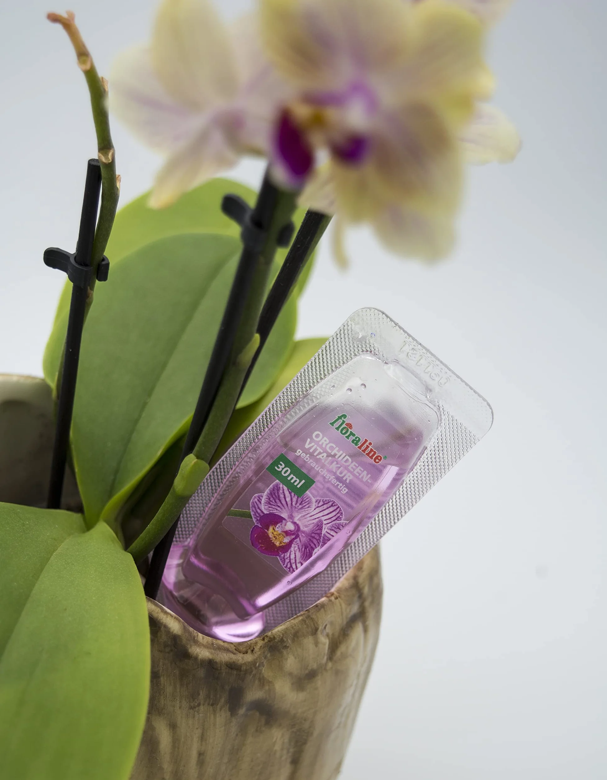 floraline Zestaw startowy nawozu do storczyków 20 pałeczek 3 odżywka witalna 250 ml Vital-Spray