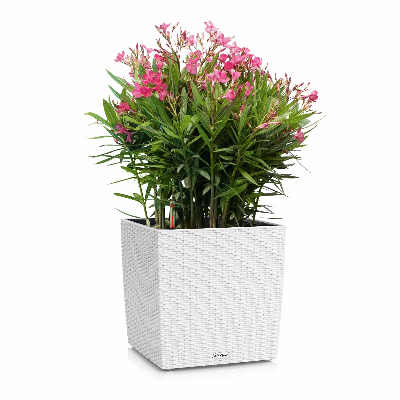 Lechuza Donica Cube Domek 30 Biały System Nawadniania