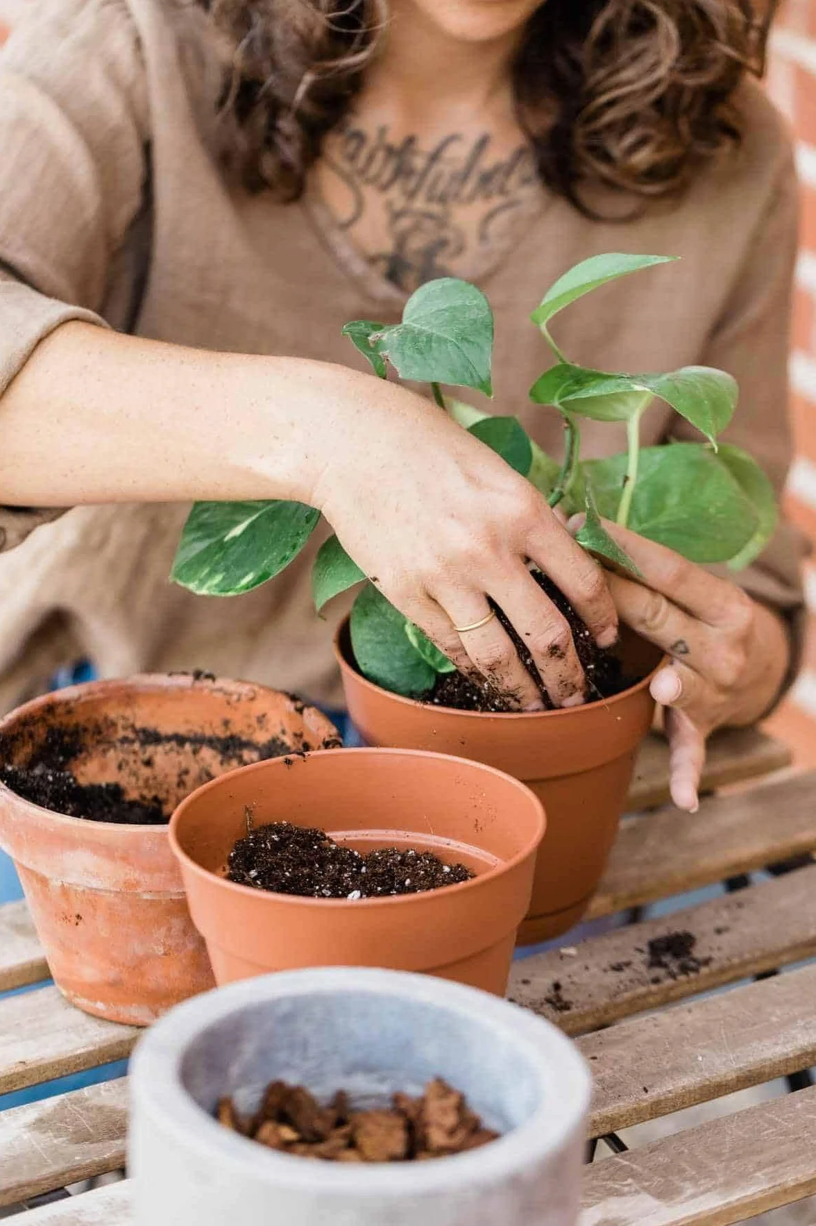 BIOVITA Podłoga uniwersalna 10 l ziemia do roślin naturalne pochodzenia