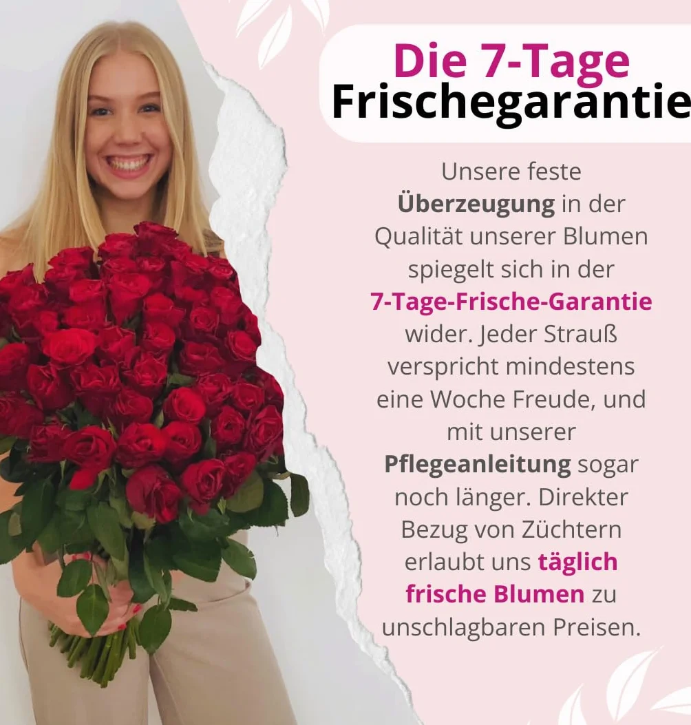Bukiet 40 czerwonych róż ciętych, długość łodygi 40 cm, średnica 40-50 cm, świeże róże florystyczne