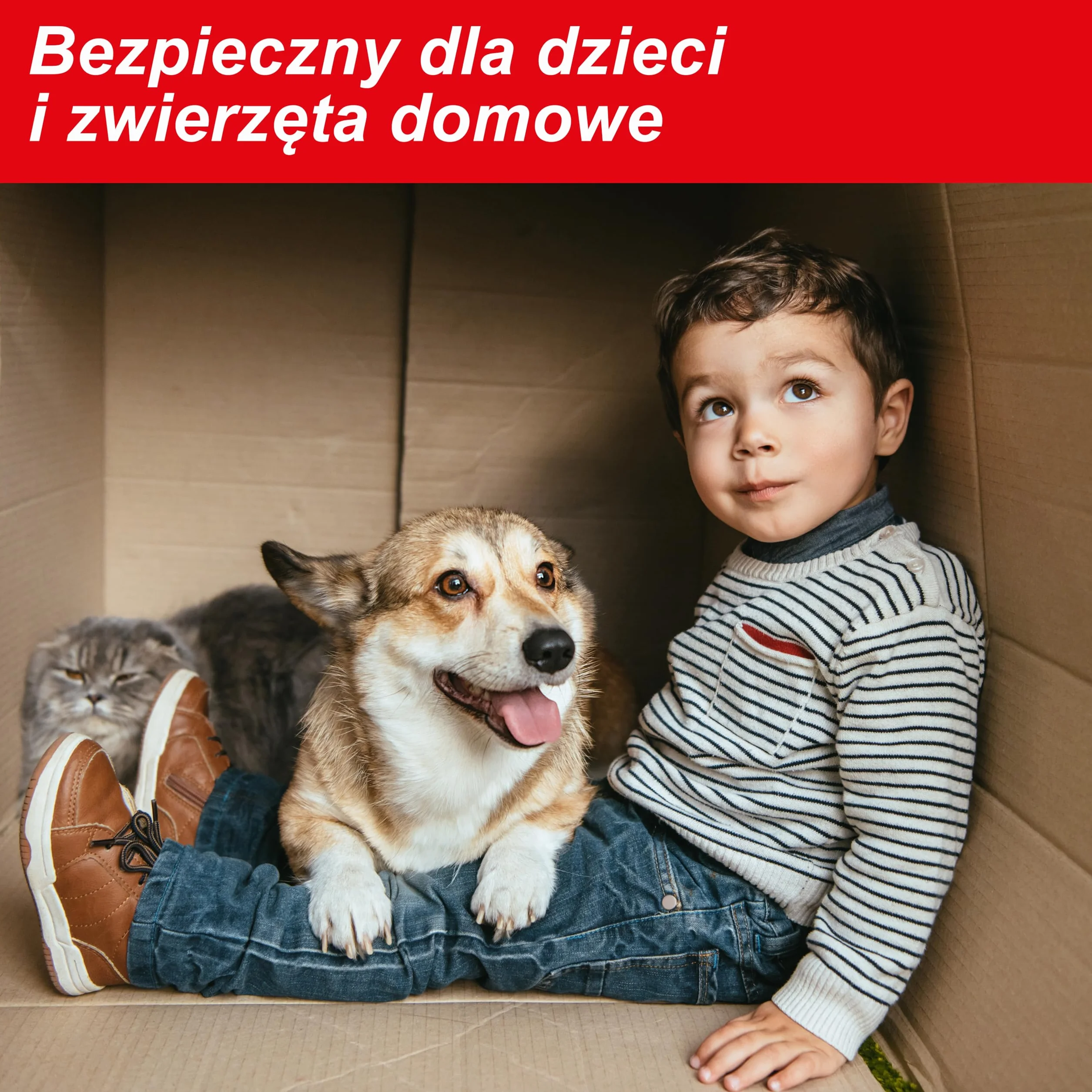 SWISSINNO Pułapka na Myszy PRO SuperCat z Wkładem Przynęty – 2 Sztuki