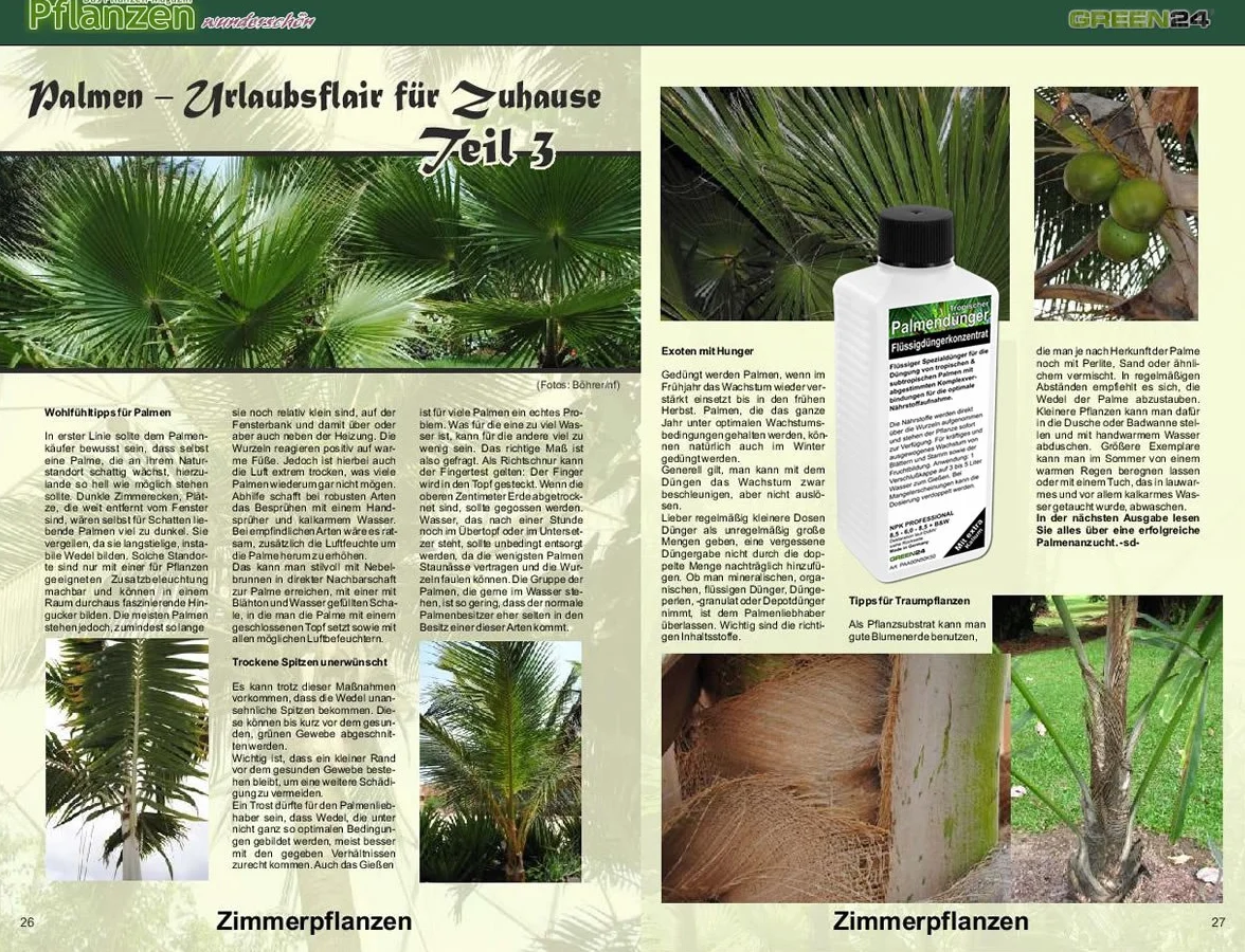 GREEN24 Nawóz do Palm, Profesjonalny Nawóz do Korzeni + Dolistny HIGH-TECH