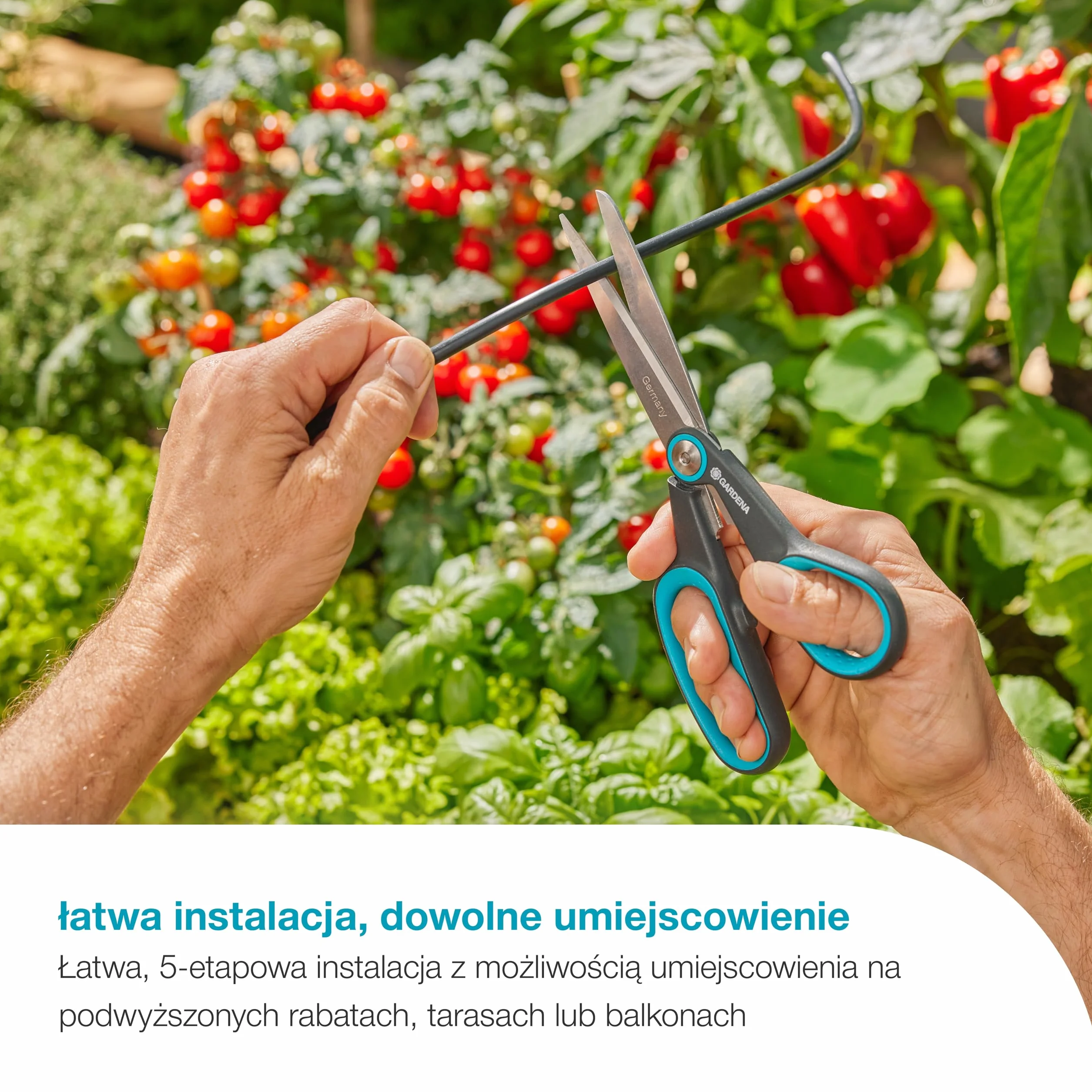 Gardena System nawadniania słonecznego AquaBloom L Set, automatyczny system nawadniania
