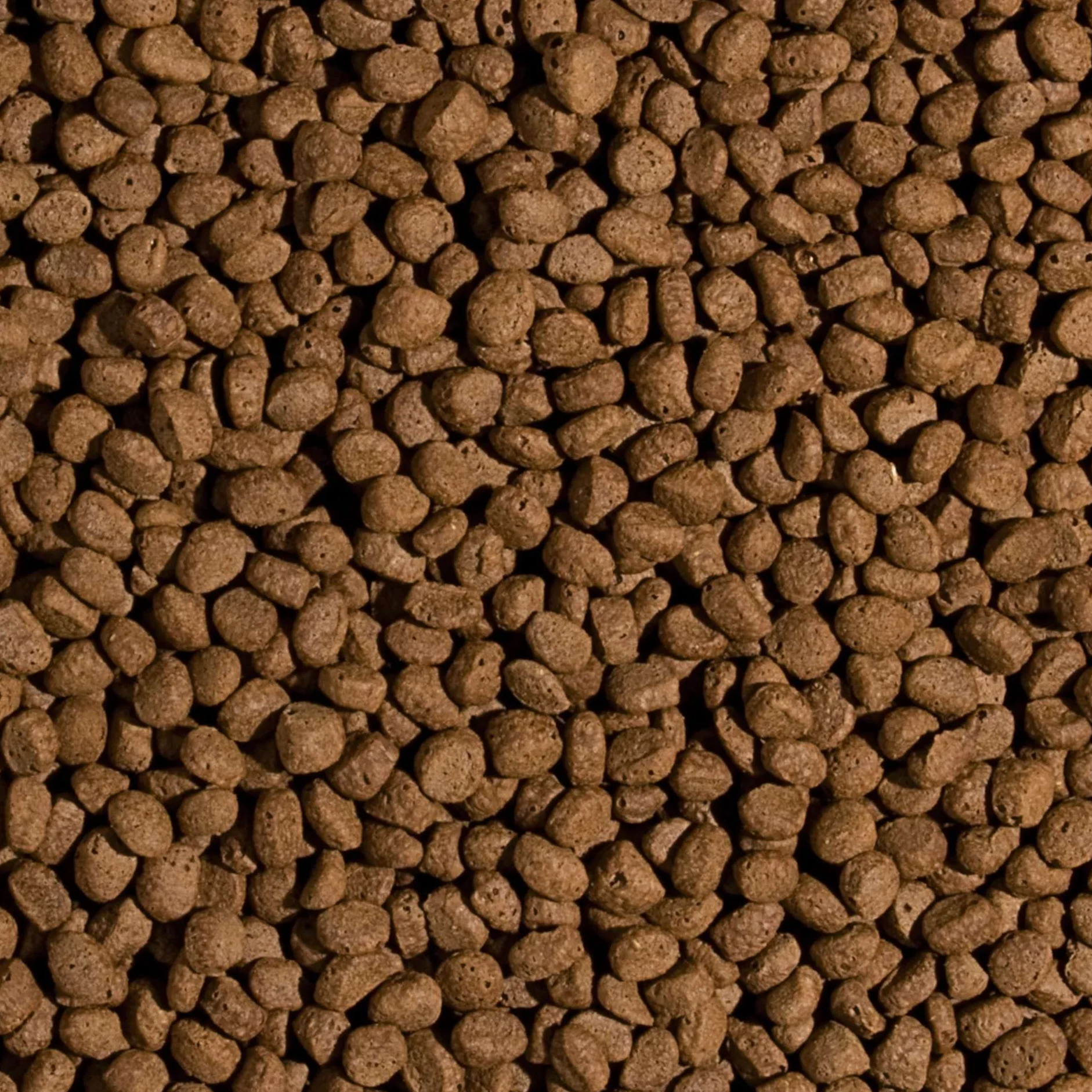 Tropical Pokarm dla ryb w oczkach wodnych KOI WHEAT GERM & GARLIC PELLET SIZE "M" 1000ml / 320g