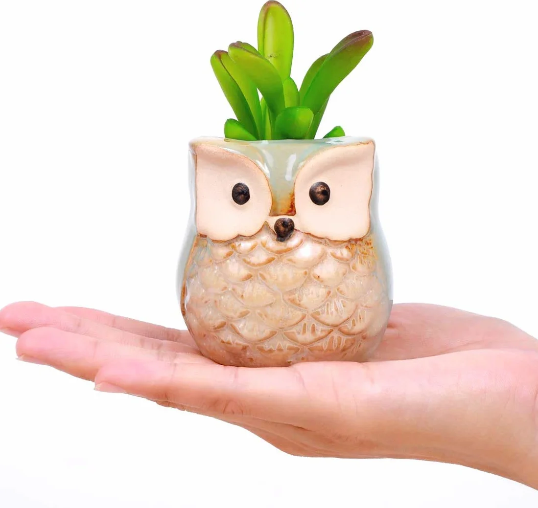 Ceramiczne doniczki z sową 6 szt. na kwiaty kaktus bonsai z otworem