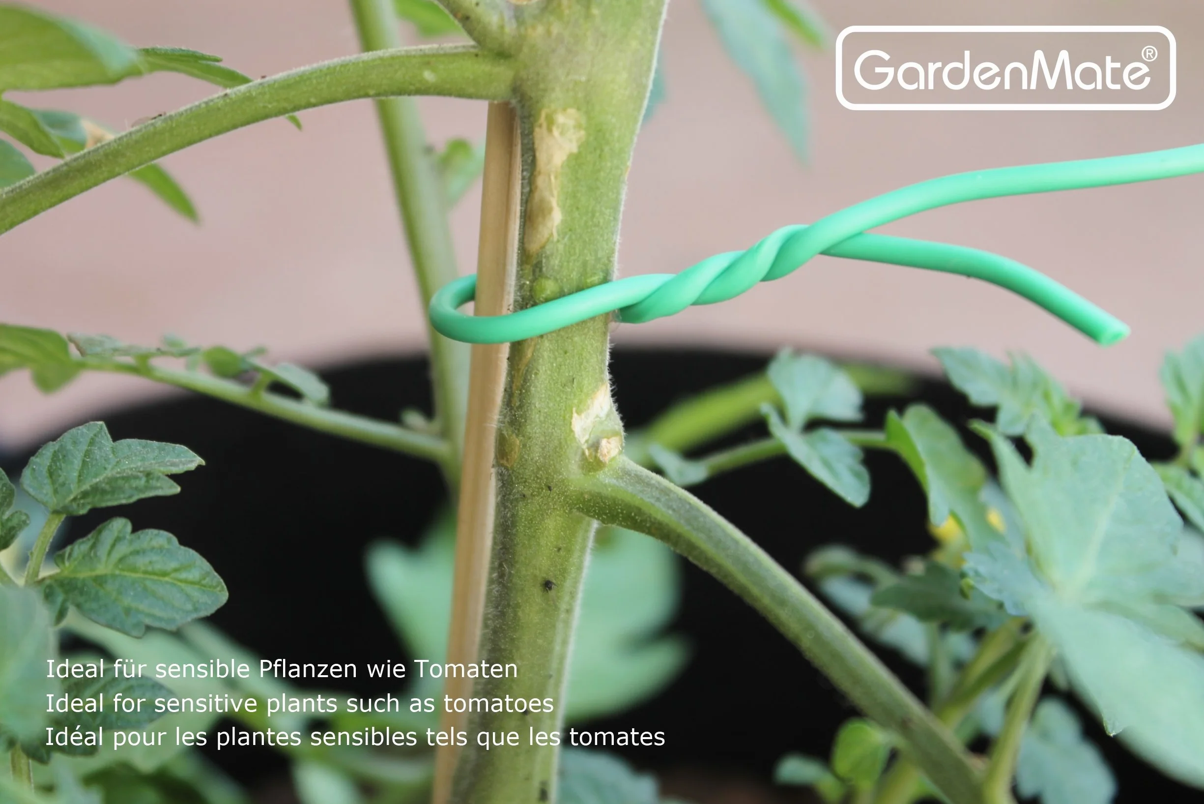 GardenMate – drut ogrodowy 2,5 mm x 10 m – z gumową osłonką z gumy spienionej