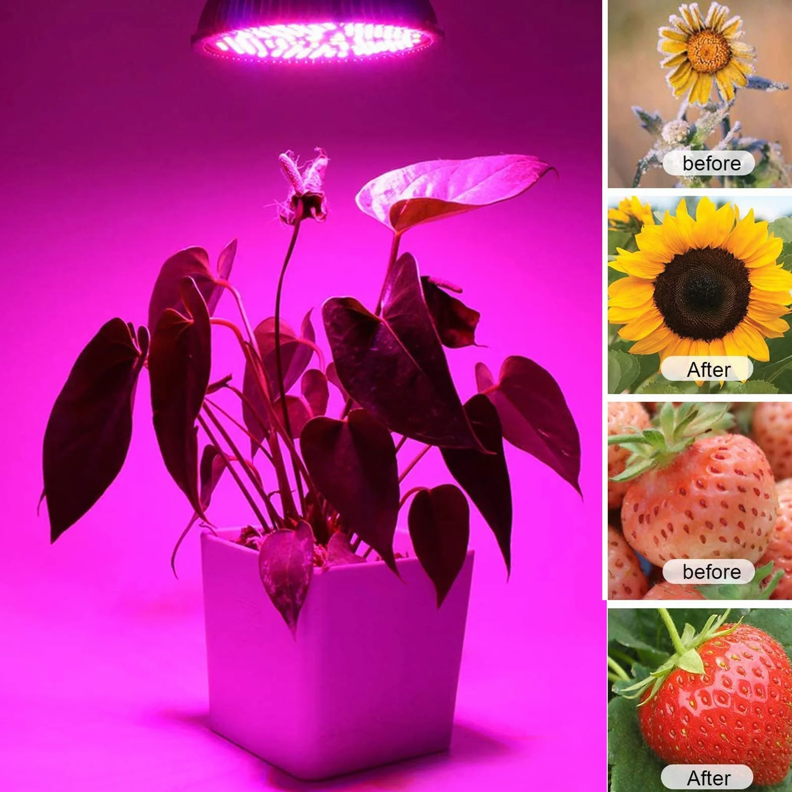 LED Grow Bulb Pełne Spektrum 18W 18 Diod E14 do Roślin