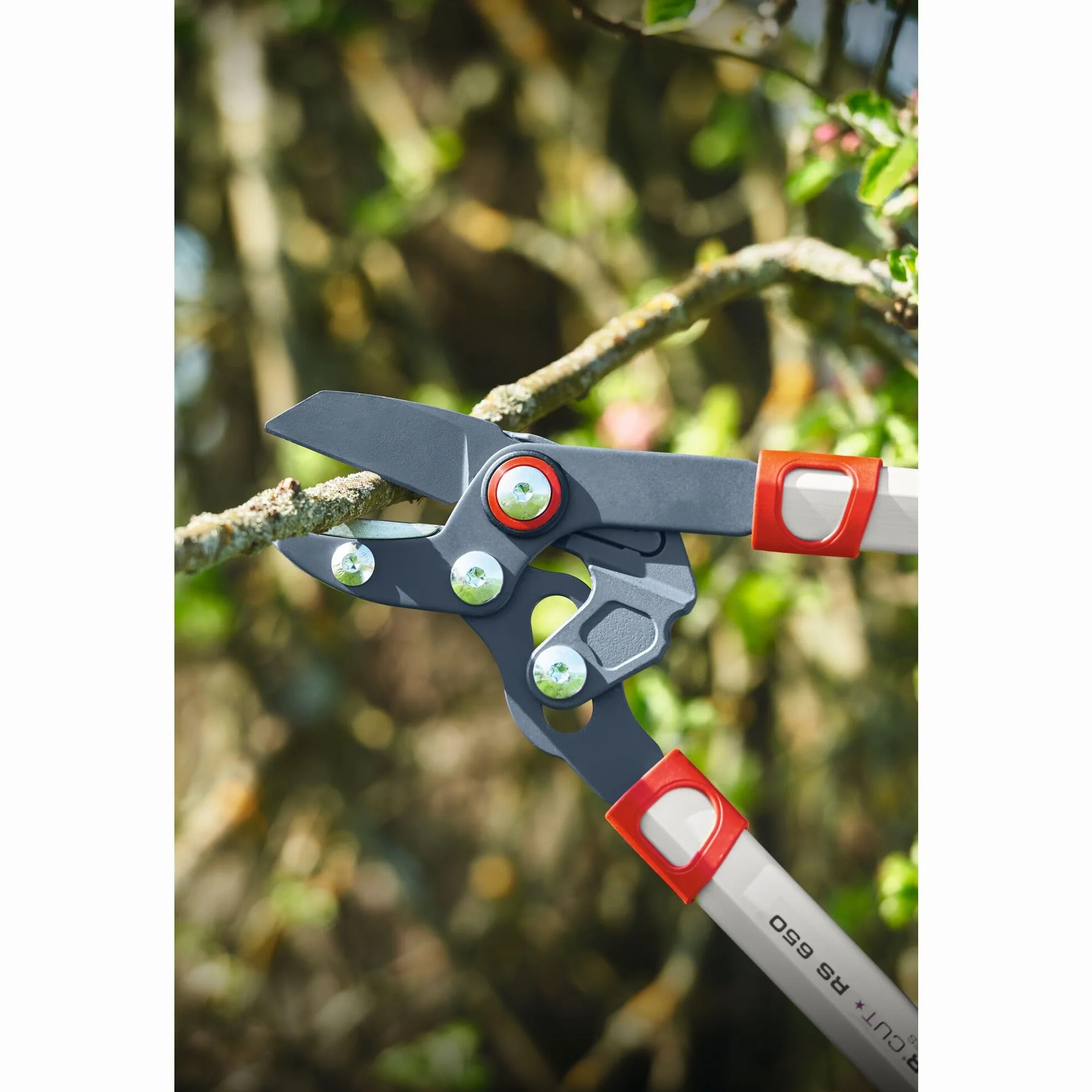 Wolf Garten "Power CUT RS 650" Lopper, czerwony/żółty/srebrny, 66 x 21 x 3,3 cm
