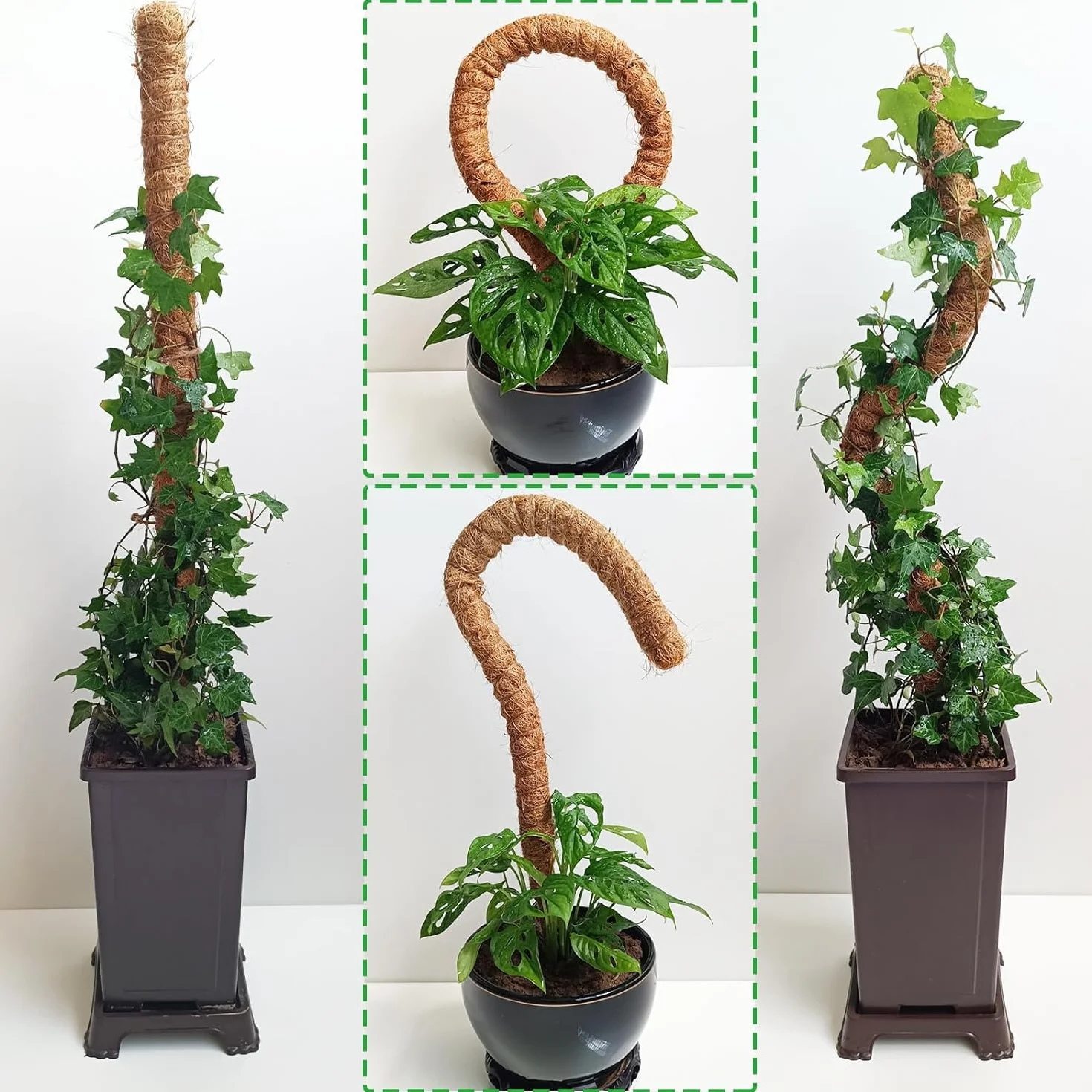 Słupki z mchem dla Monstera 2-pakiety 63,5 cm 121,9 cm podpór do roślin domowych