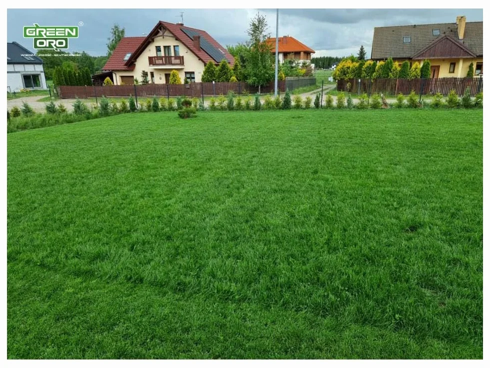 CHISSO SAI SEI 10KG Regeneracyjny nawóz do trawników