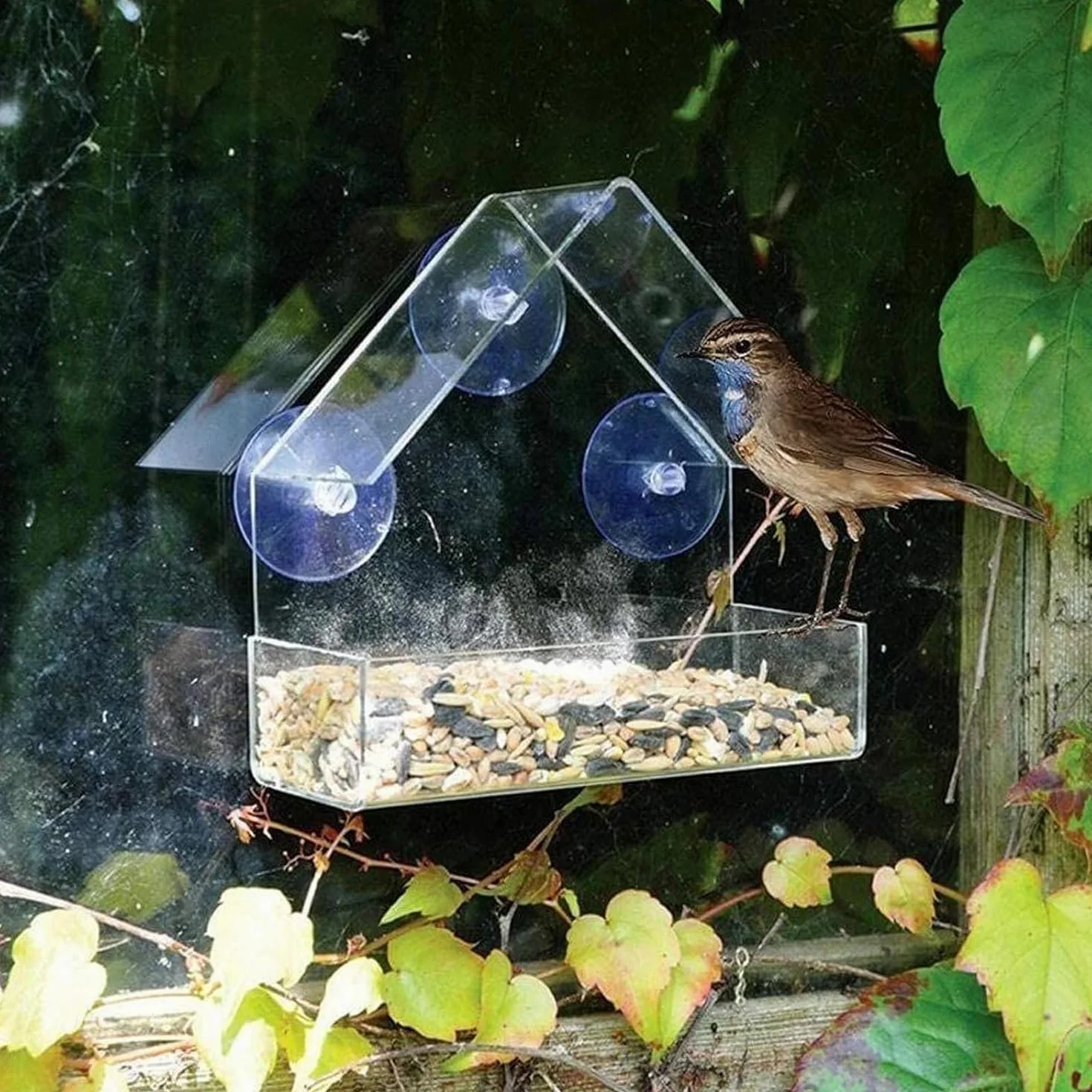 Okno karmnik dla ptaków, akrylowy, przezroczysty domek dla ptaków, szyba okienna z przyssawkami, stacje karmienia dla dzikich ptaków, karmnik 15 x 15 x 6 cm