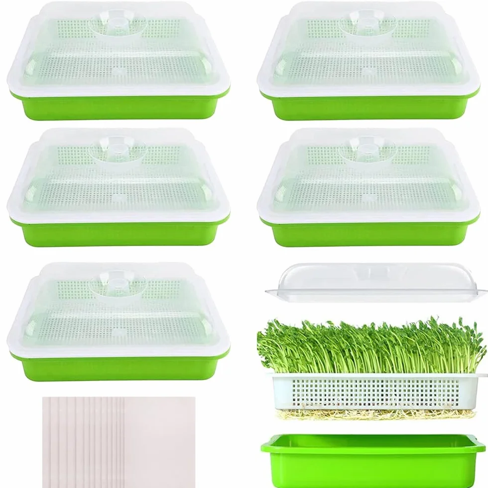 Voarge 6 sztuk miseczek na kiełki 32x26 cm z pokrywką do kiełkowania nasion