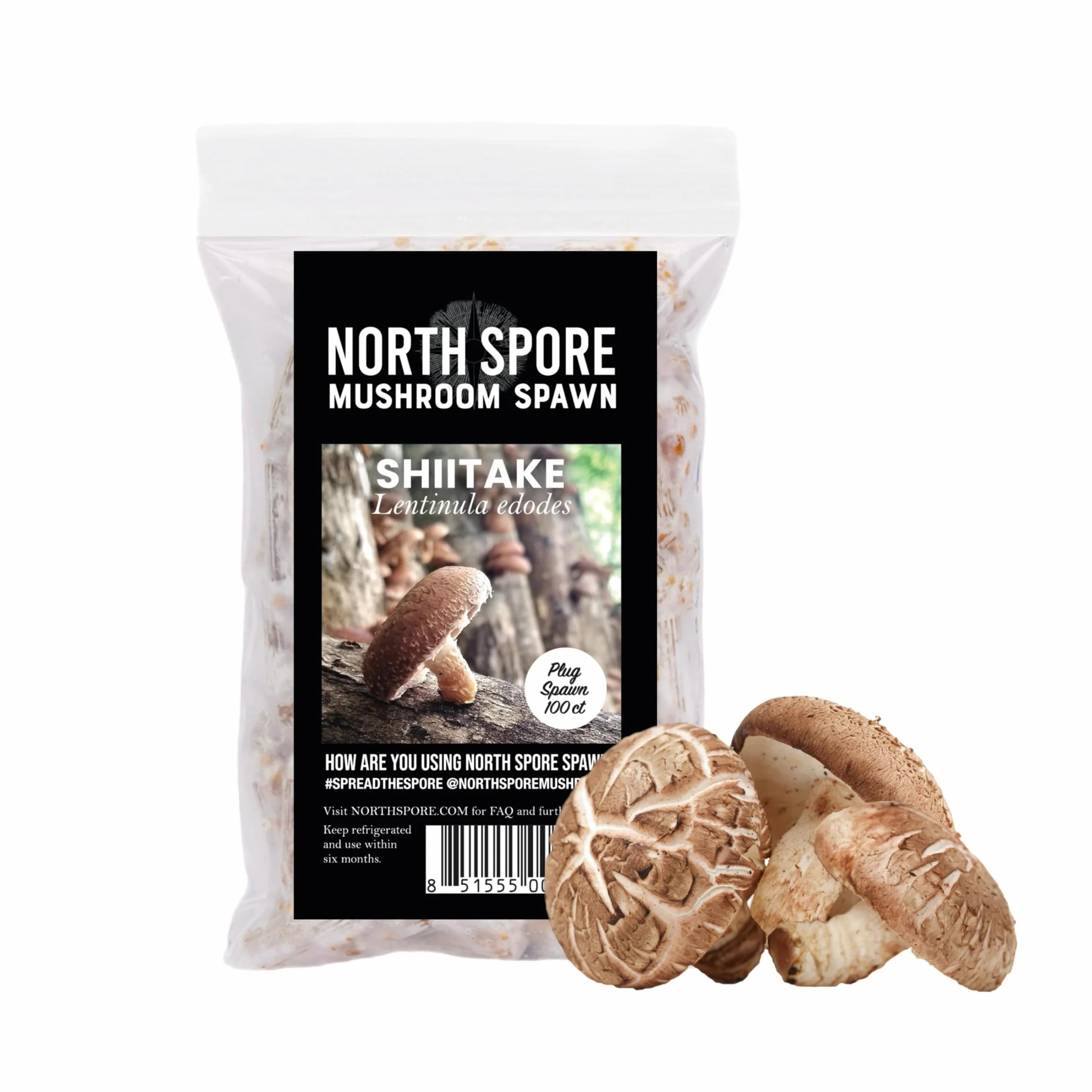 North Spore Zestaw do szczepień kłód | 100 ct Shiitake, lwa grzyba i niebieska ostryga | wosk, koziołki, wiertło, do uprawy grzybów na kłodach zewnętrznych, najwyższej jakości grzybów, ręcznie robione