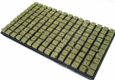 Grodan Wełna kamienna mata do uprawy 150 tacka 2,5 x 2,5 cm