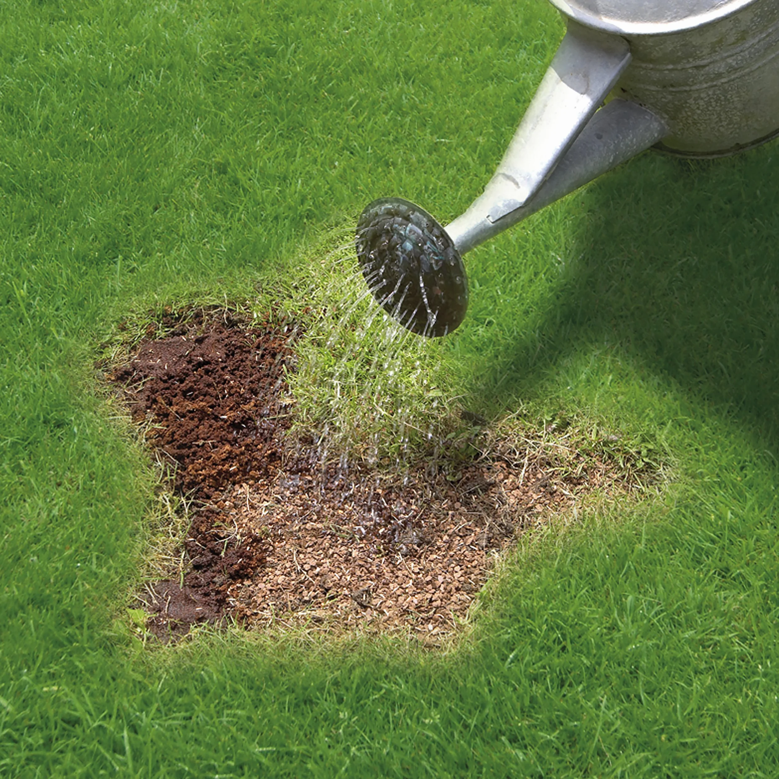 Miracle-Gro Patch Magic nasiona trawy 1015 g