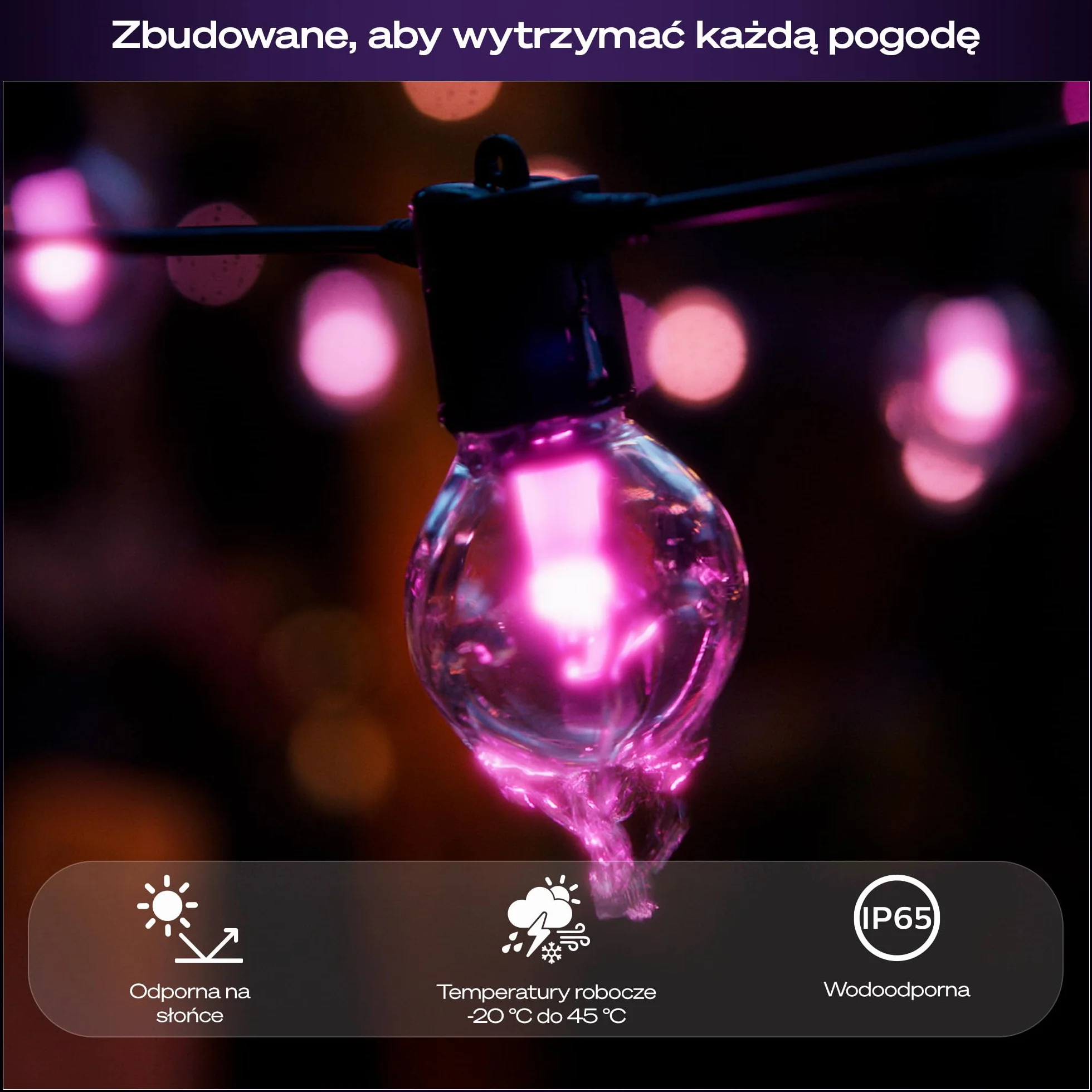 Philips Hue Festavia Globe Oświetlenie Zewnętrzne 7M 10 Żarówek Ściemniane Kompatybilne z Alexa Google Assistant Apple Home